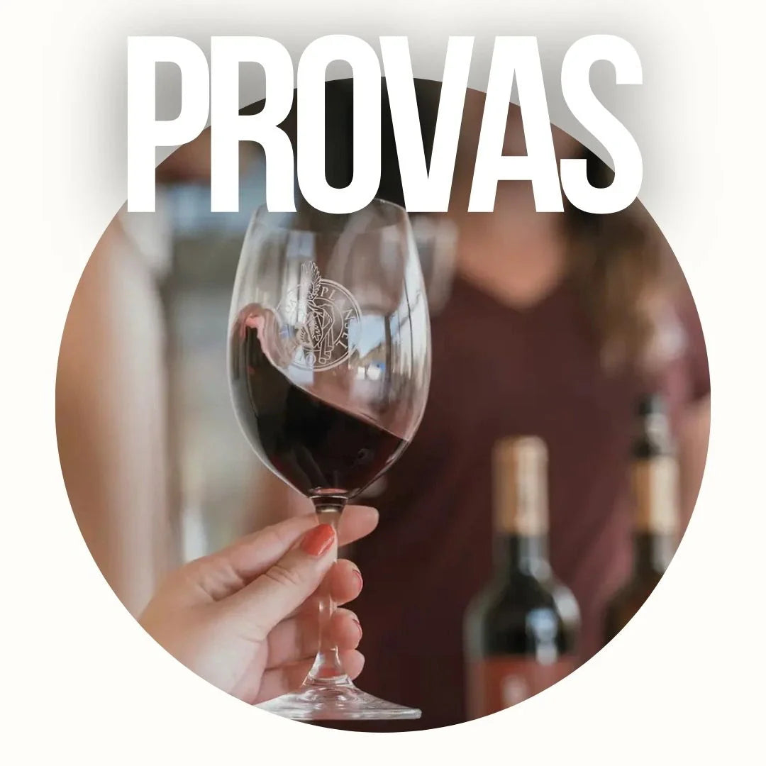 Provas na Plansel - Plansel