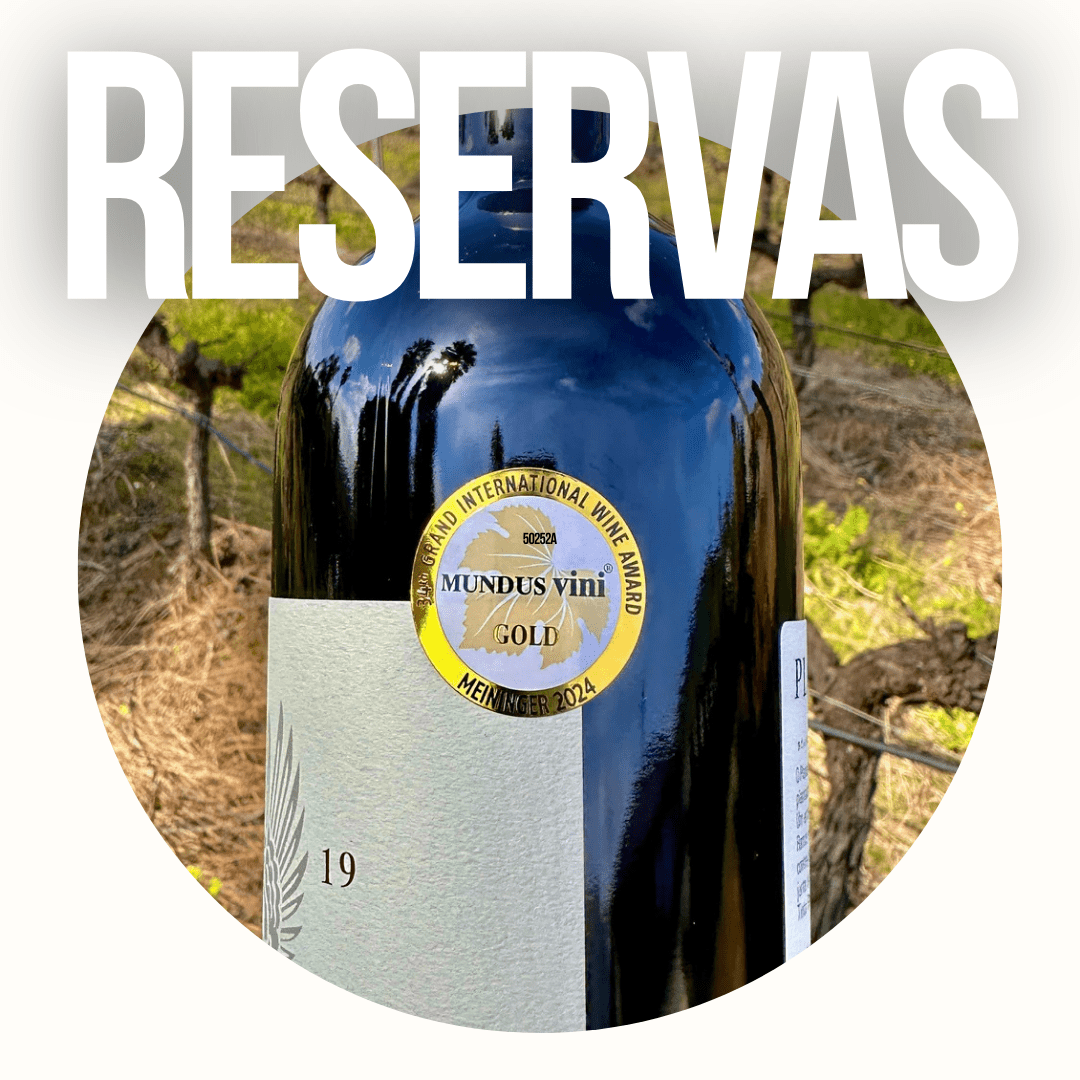 Vinhos Reserva - Plansel
