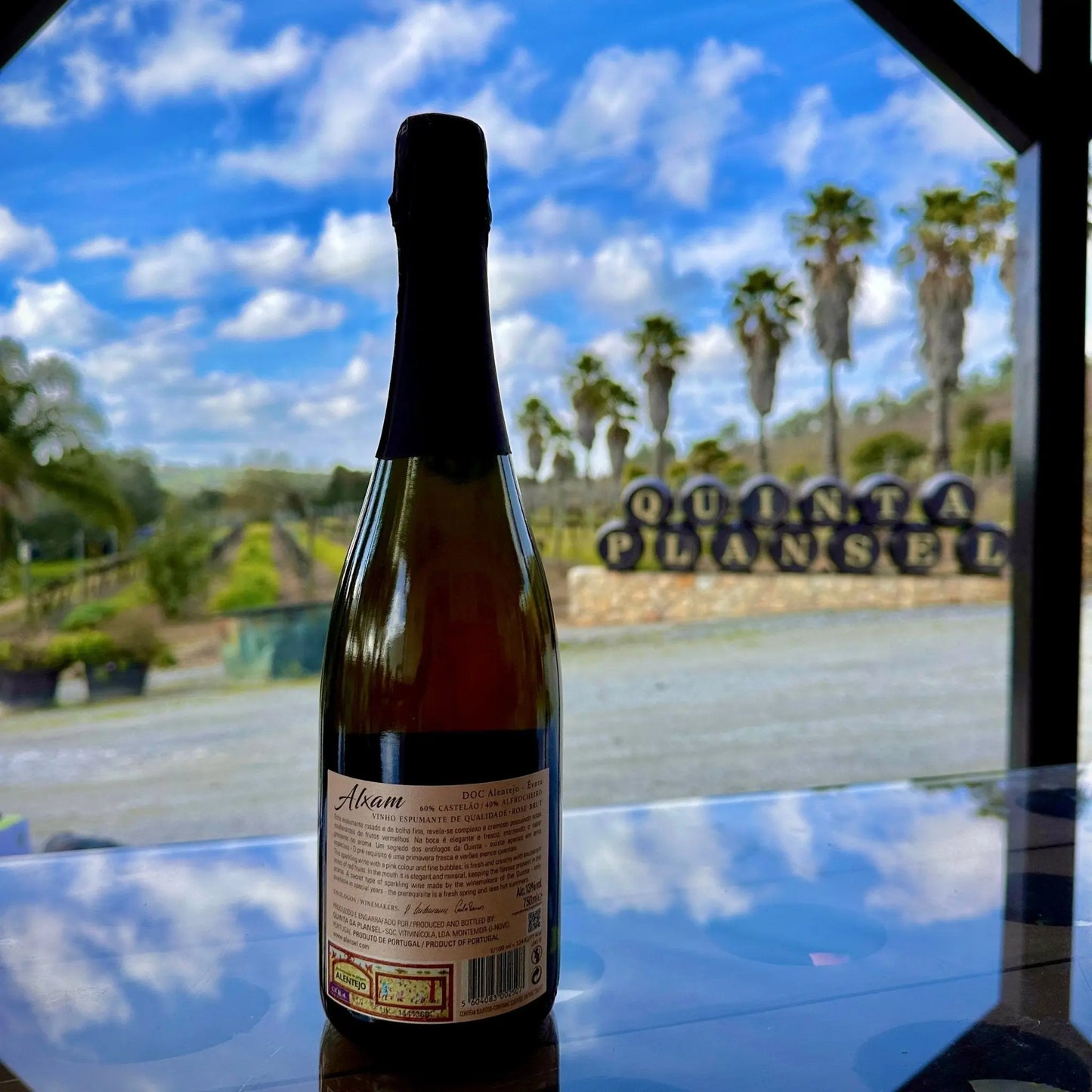 Alxam Rosé - Plansel