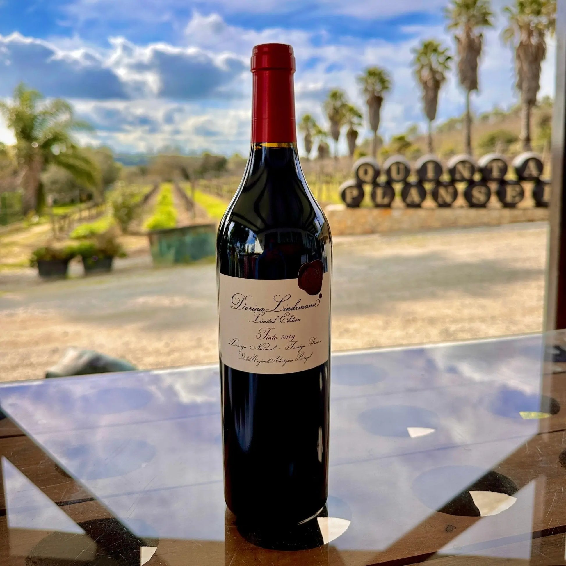 Dorina Lindemann - Plansel