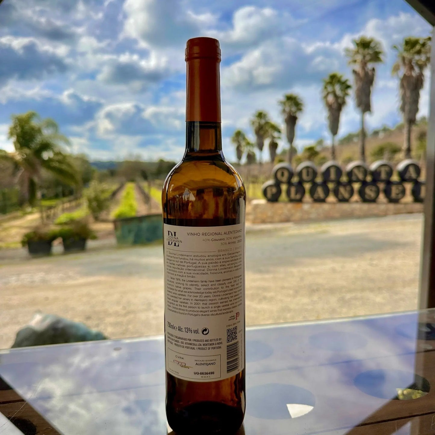 Dorina Lindemann Branco - Plansel