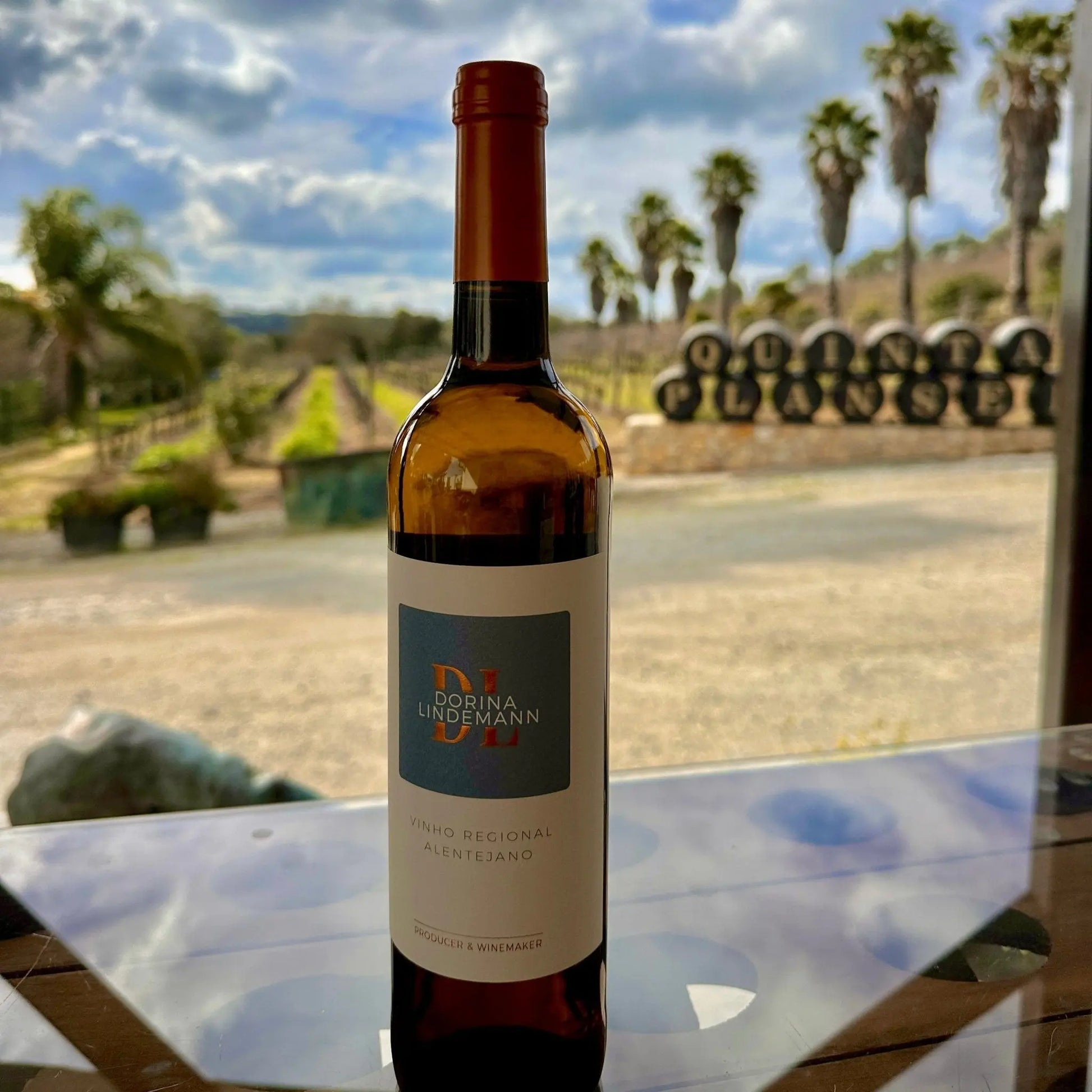 Dorina Lindemann Branco - Plansel