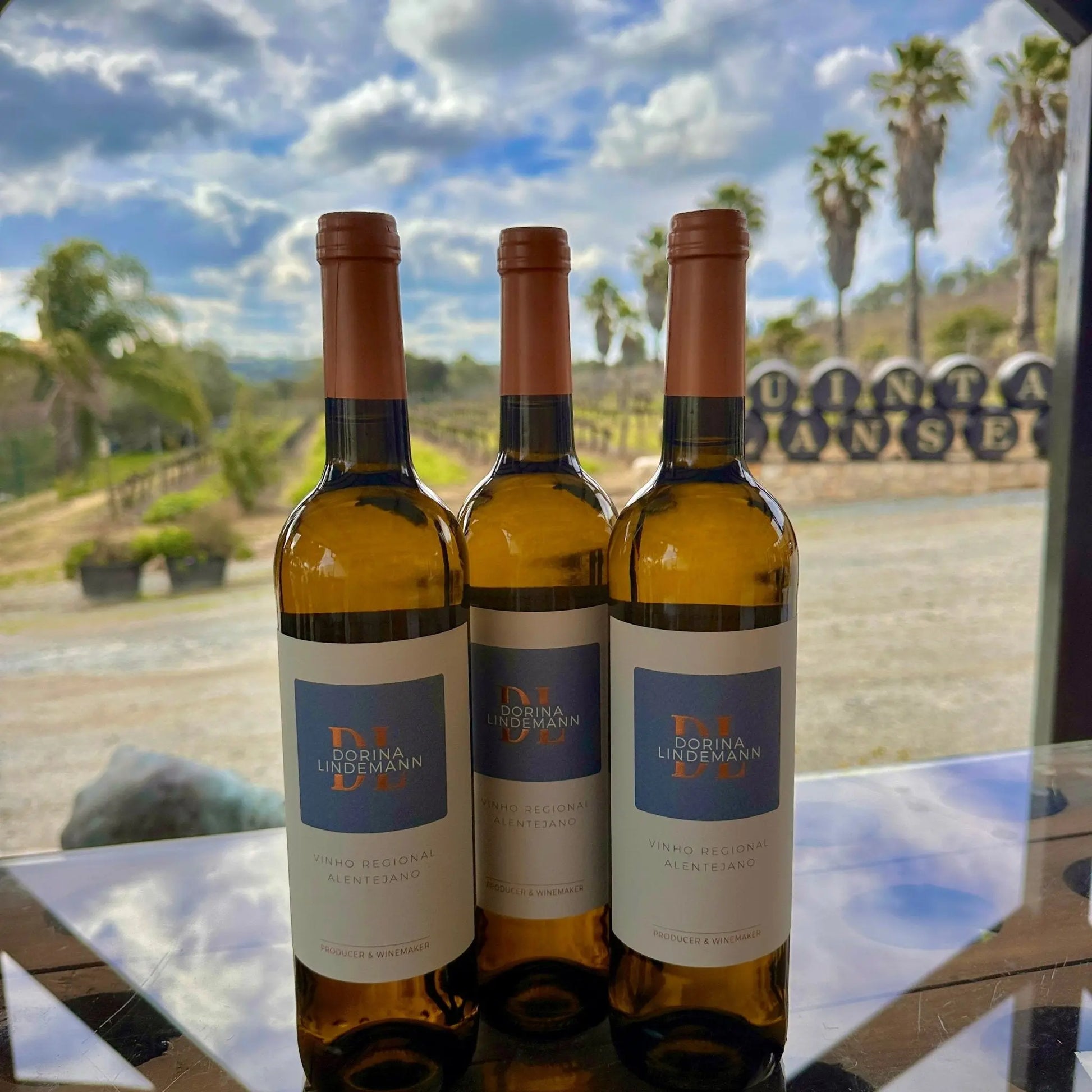 Dorina Lindemann Branco - Plansel