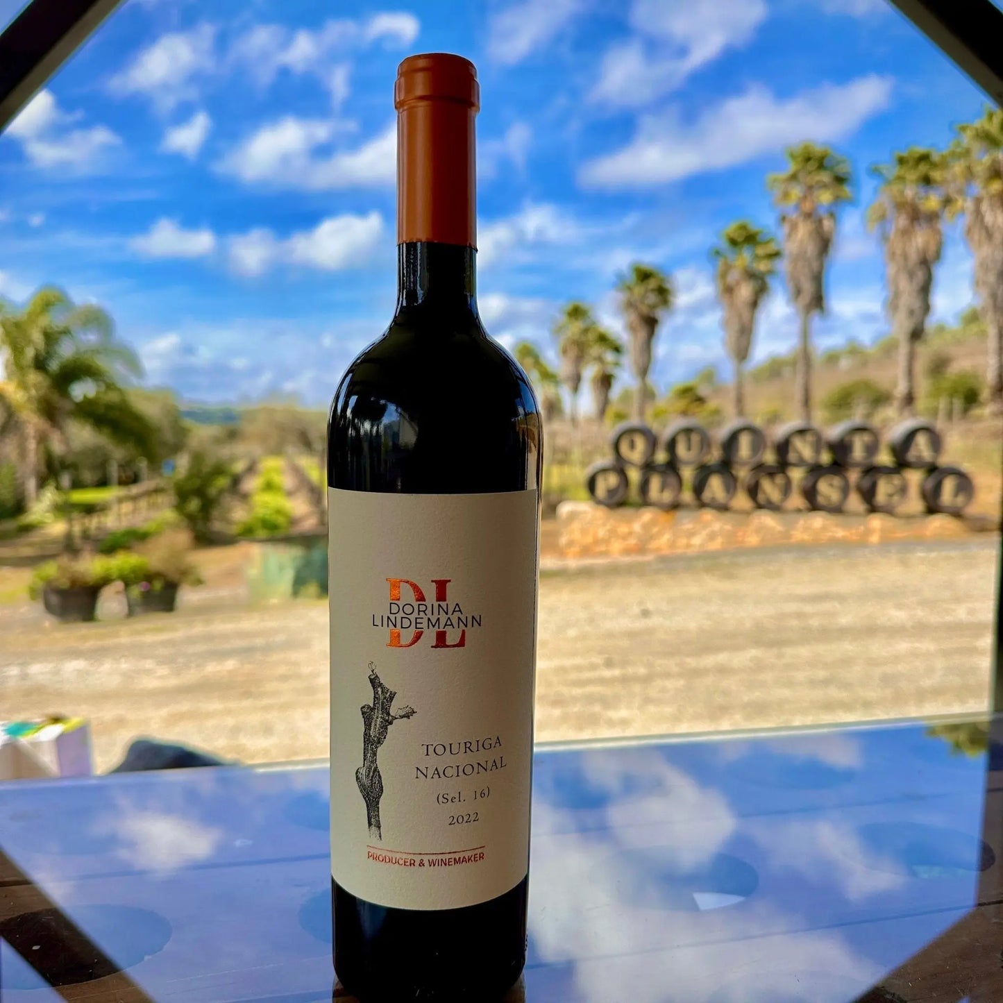 Dorina Lindemann C.S Touriga Nacional - Plansel