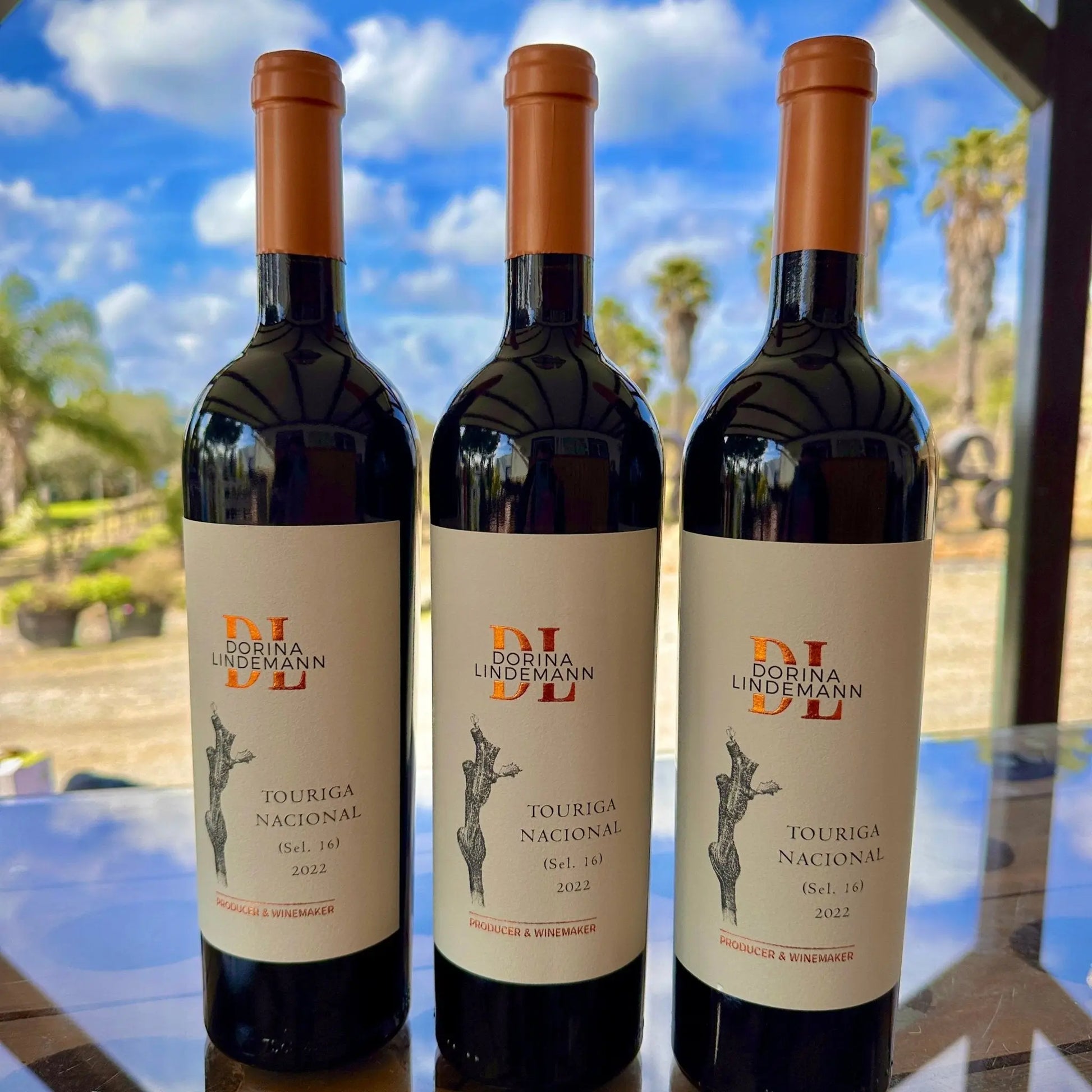 Dorina Lindemann C.S Touriga Nacional - Plansel