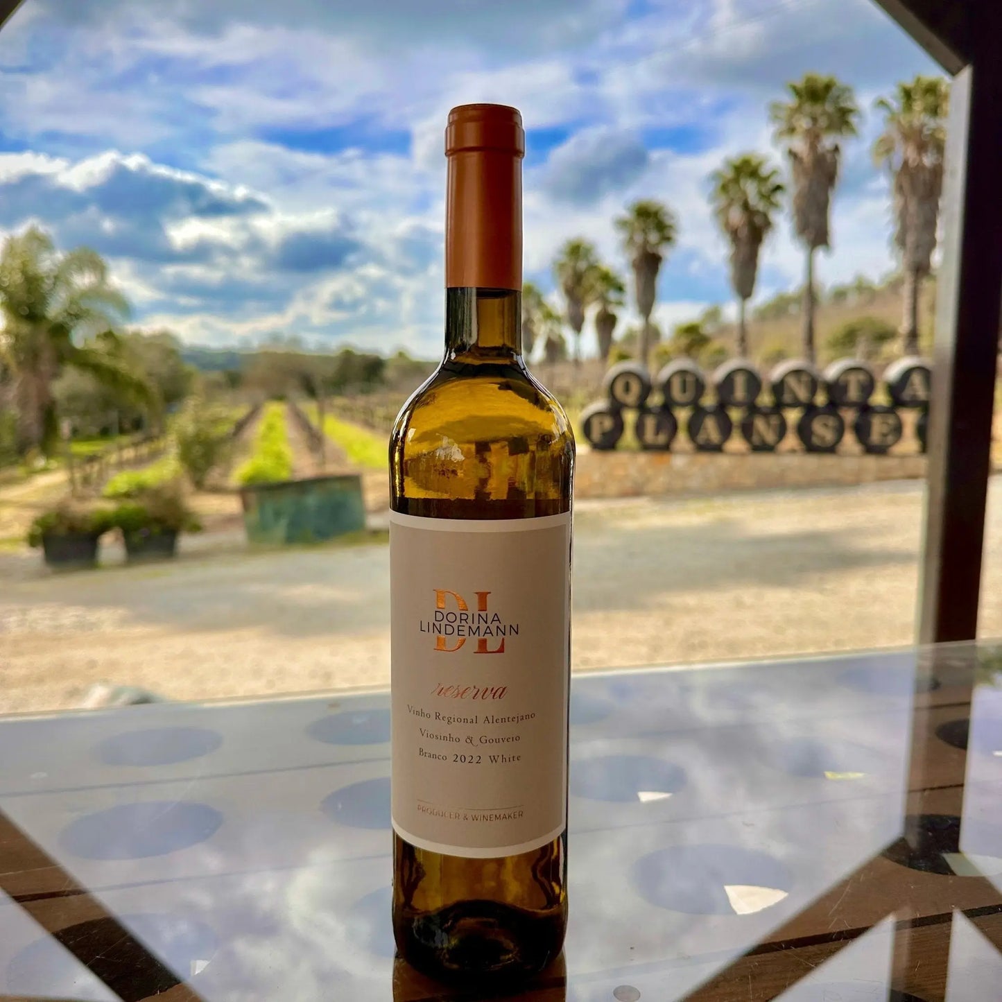 Dorina Lindemann Reserva Branco - Plansel