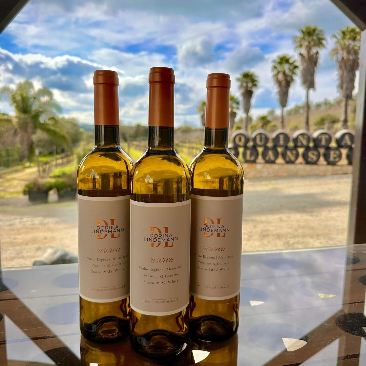 Dorina Lindemann Reserva Branco - Plansel