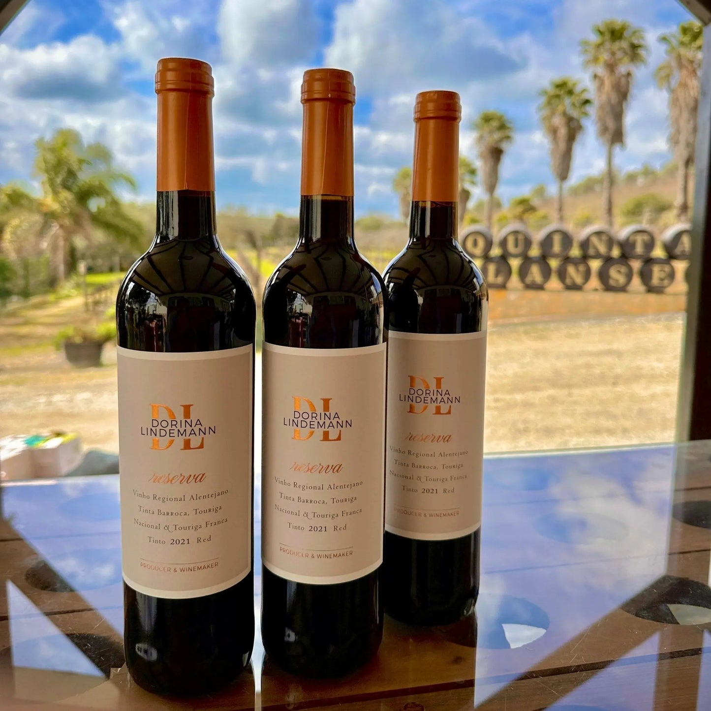 Dorina Lindemann Reserva Tinto - Plansel