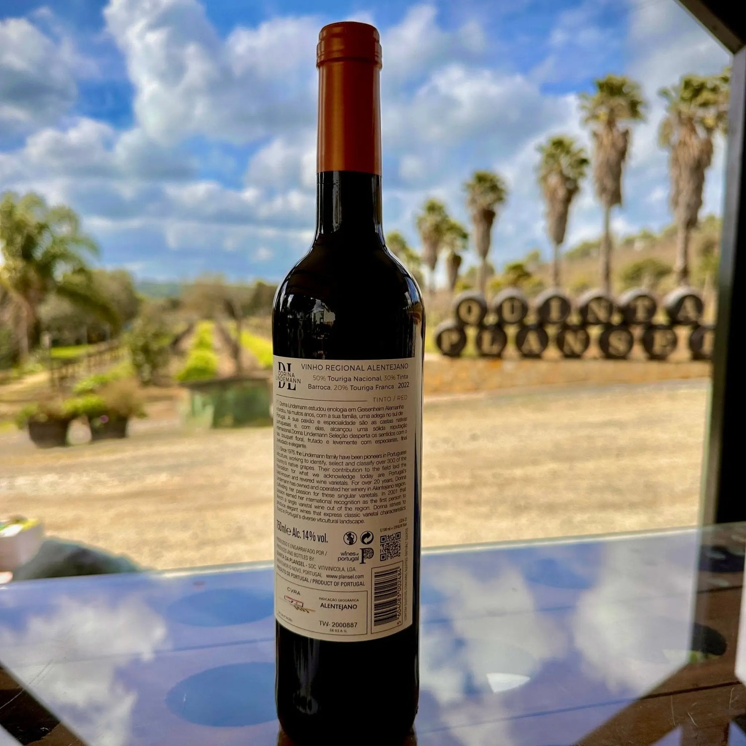 Dorina Lindemann Tinto - Plansel