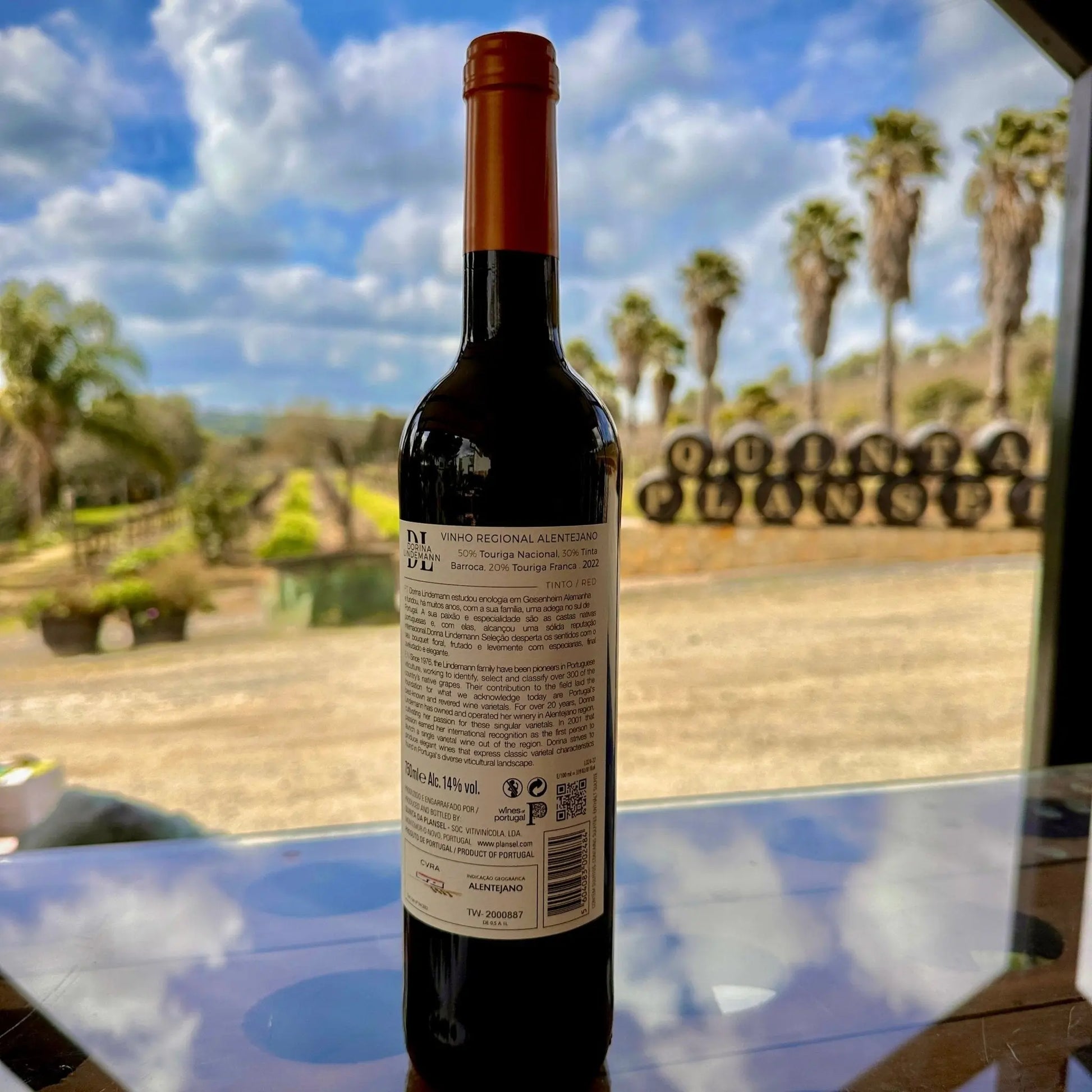 Dorina Lindemann Tinto - Plansel