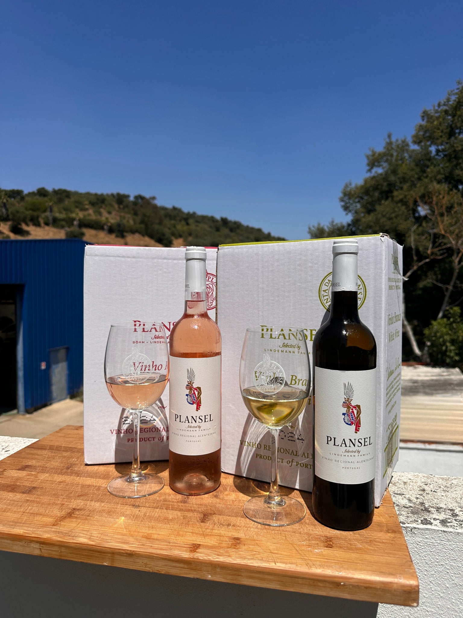 Dúzia Plansel – Branco & Rosé - Plansel