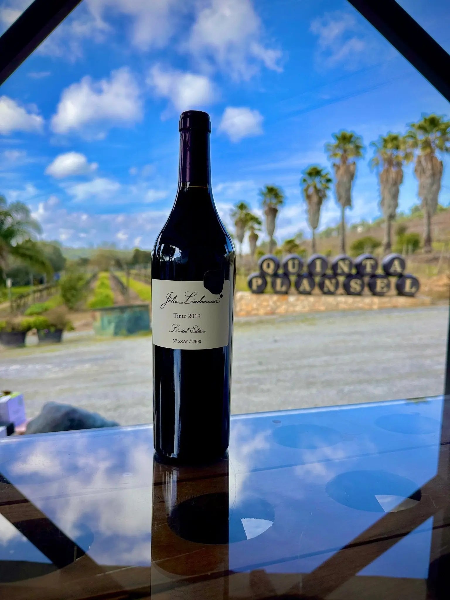 Júlia Lindemann - Plansel