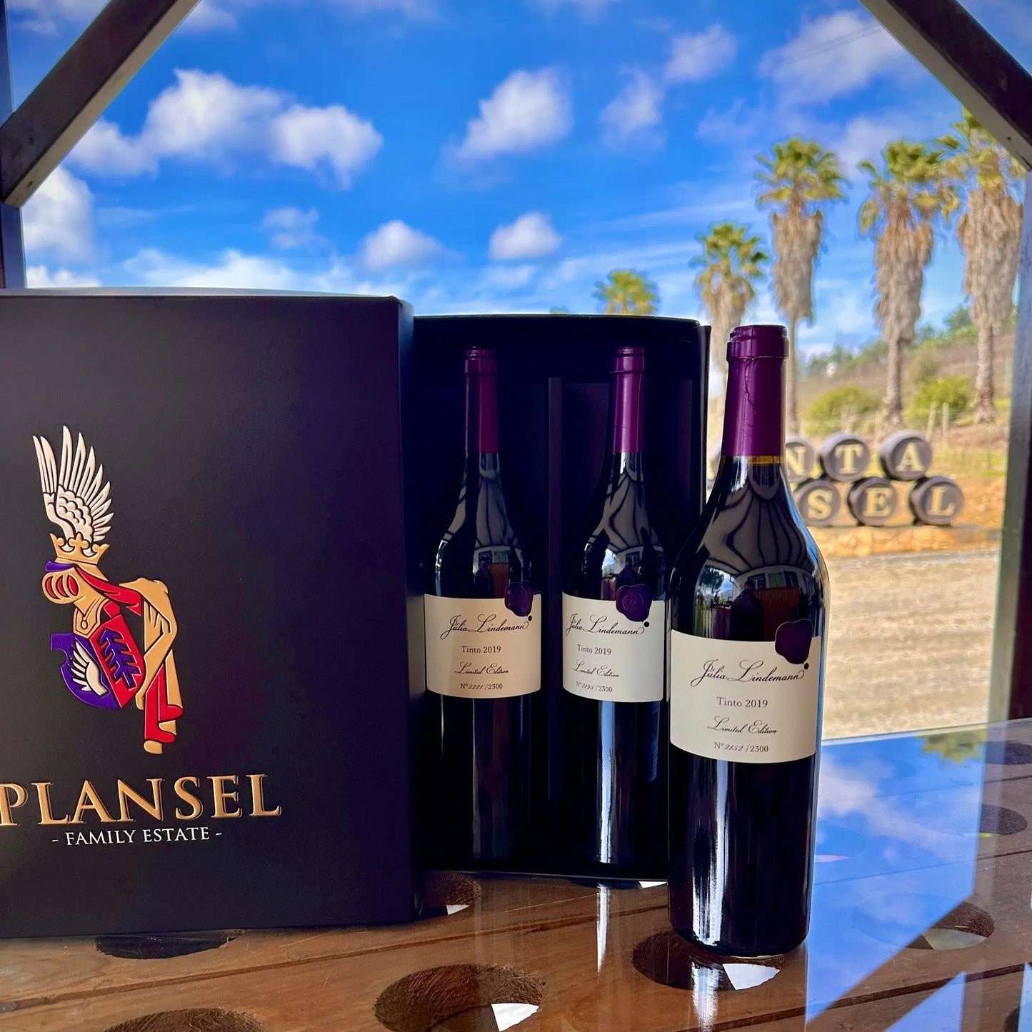 Júlia Lindemann - Plansel