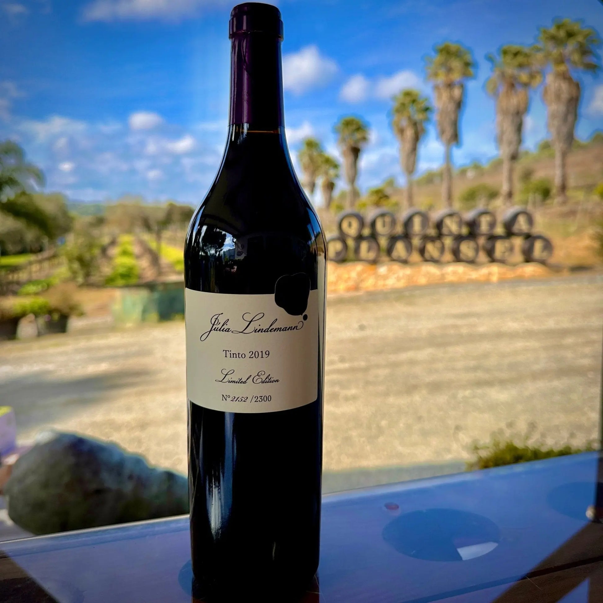 Júlia Lindemann - Plansel