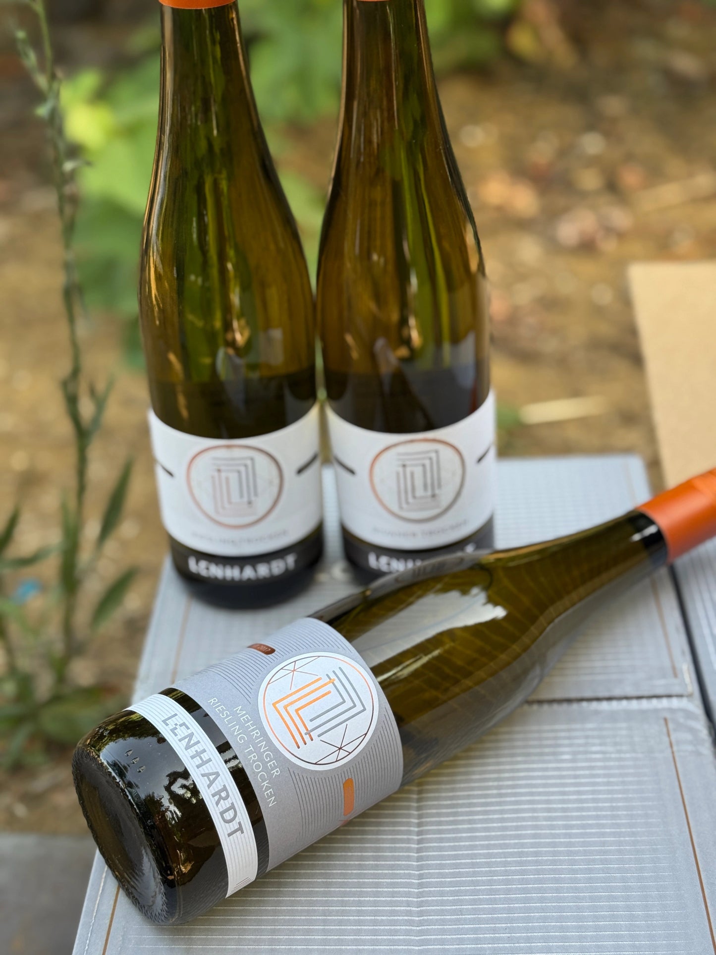 Lenhardt - Riesling Seleção - Plansel