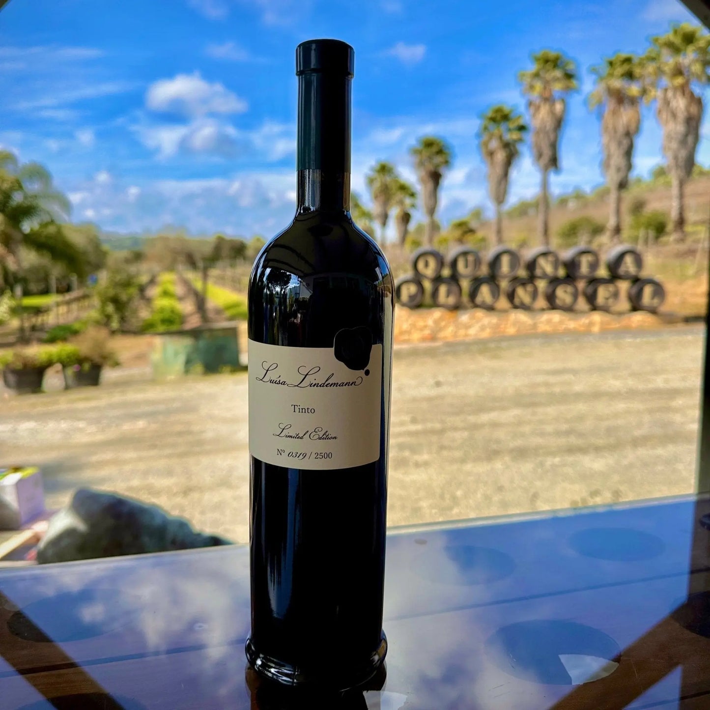 Luisa Lindemann - Plansel