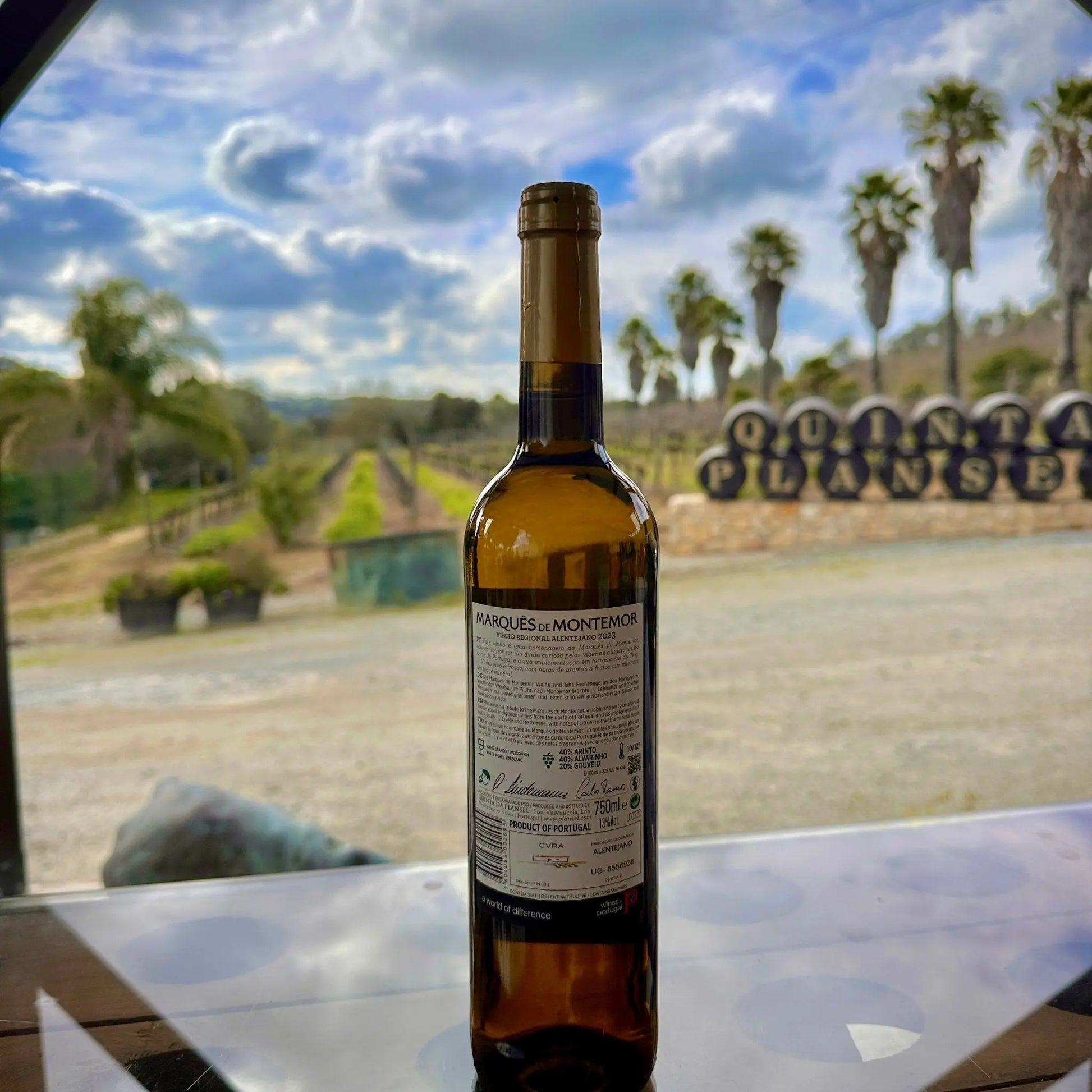 Marquês de Montemor Branco - Plansel