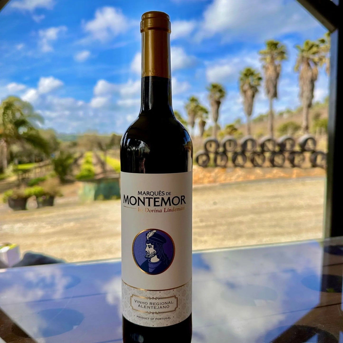 Marquês de Montemor Tinto - Plansel