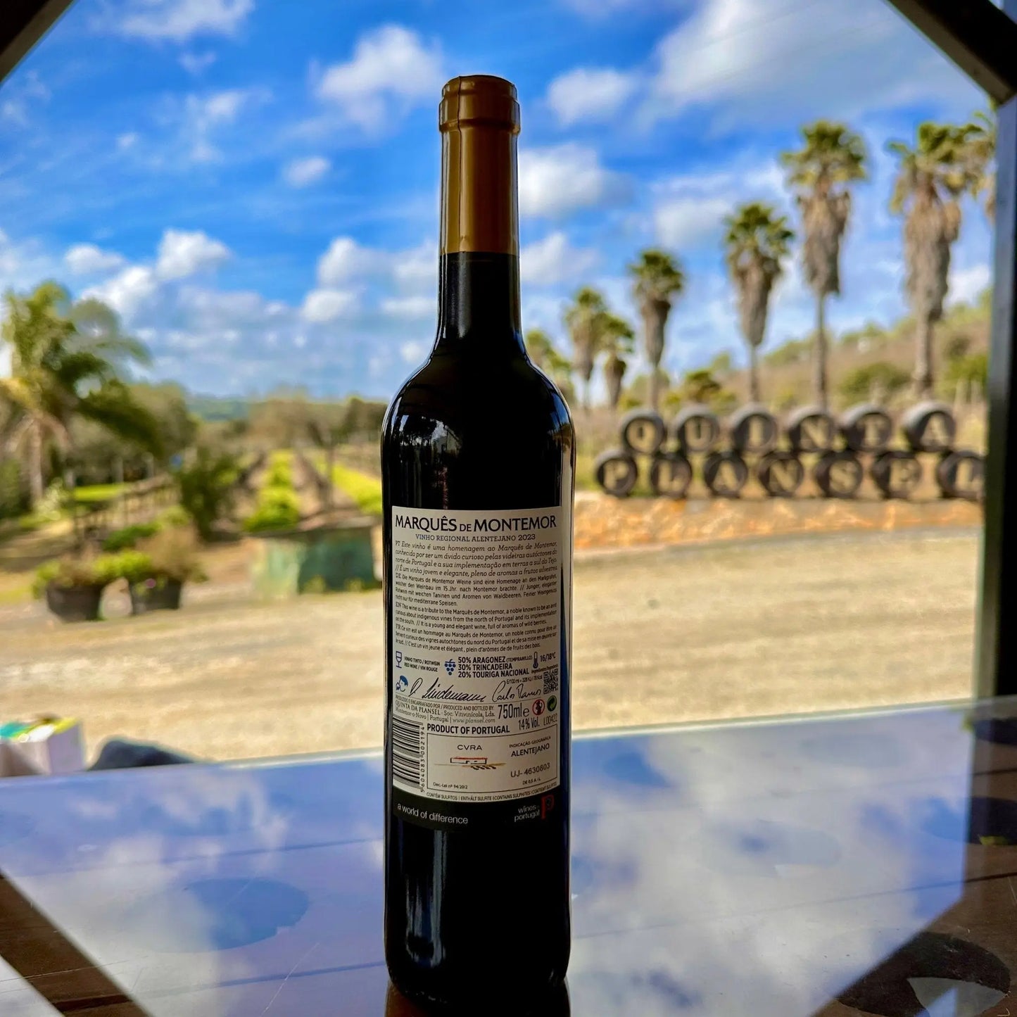 Marquês de Montemor Tinto - Plansel