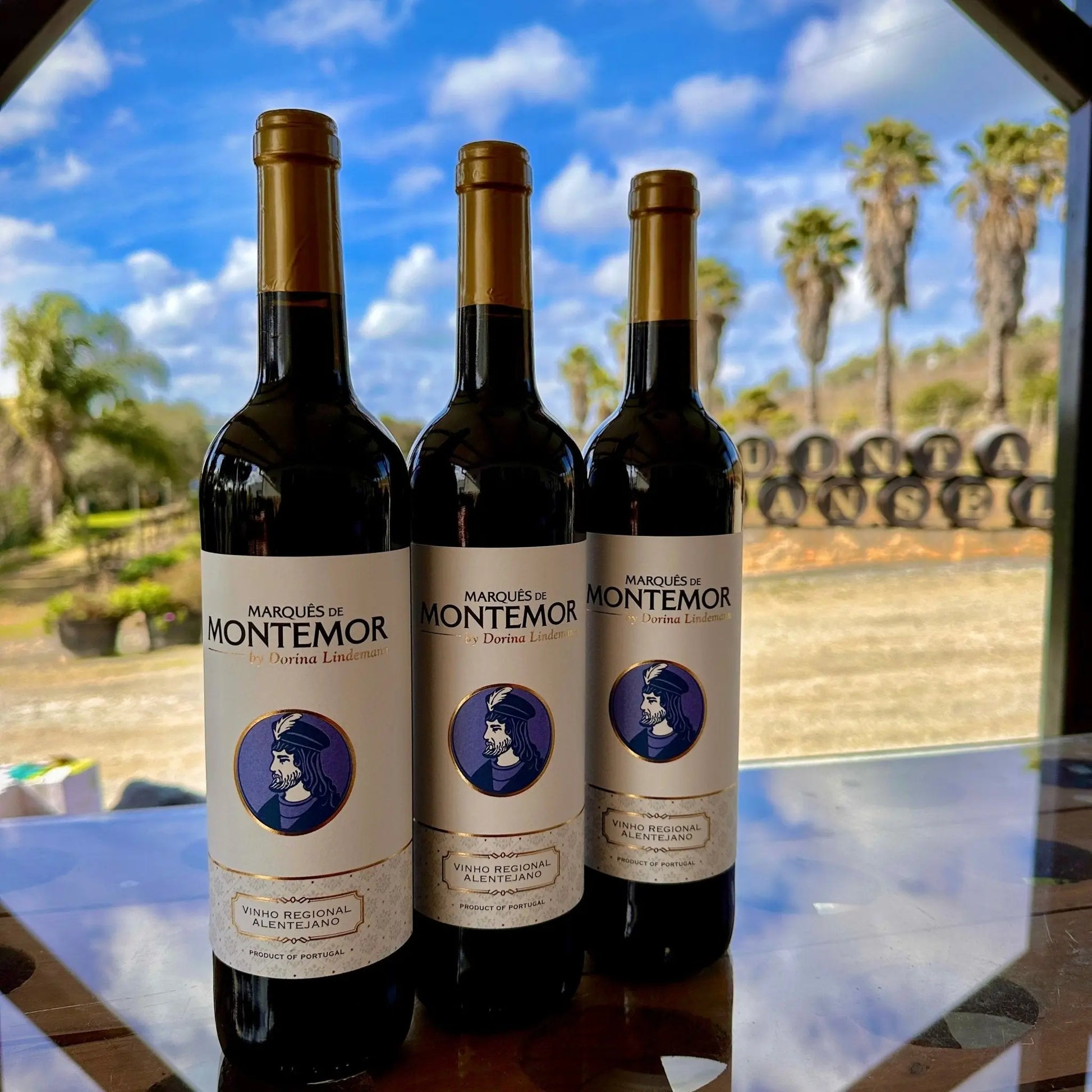 Marquês de Montemor Tinto - Plansel