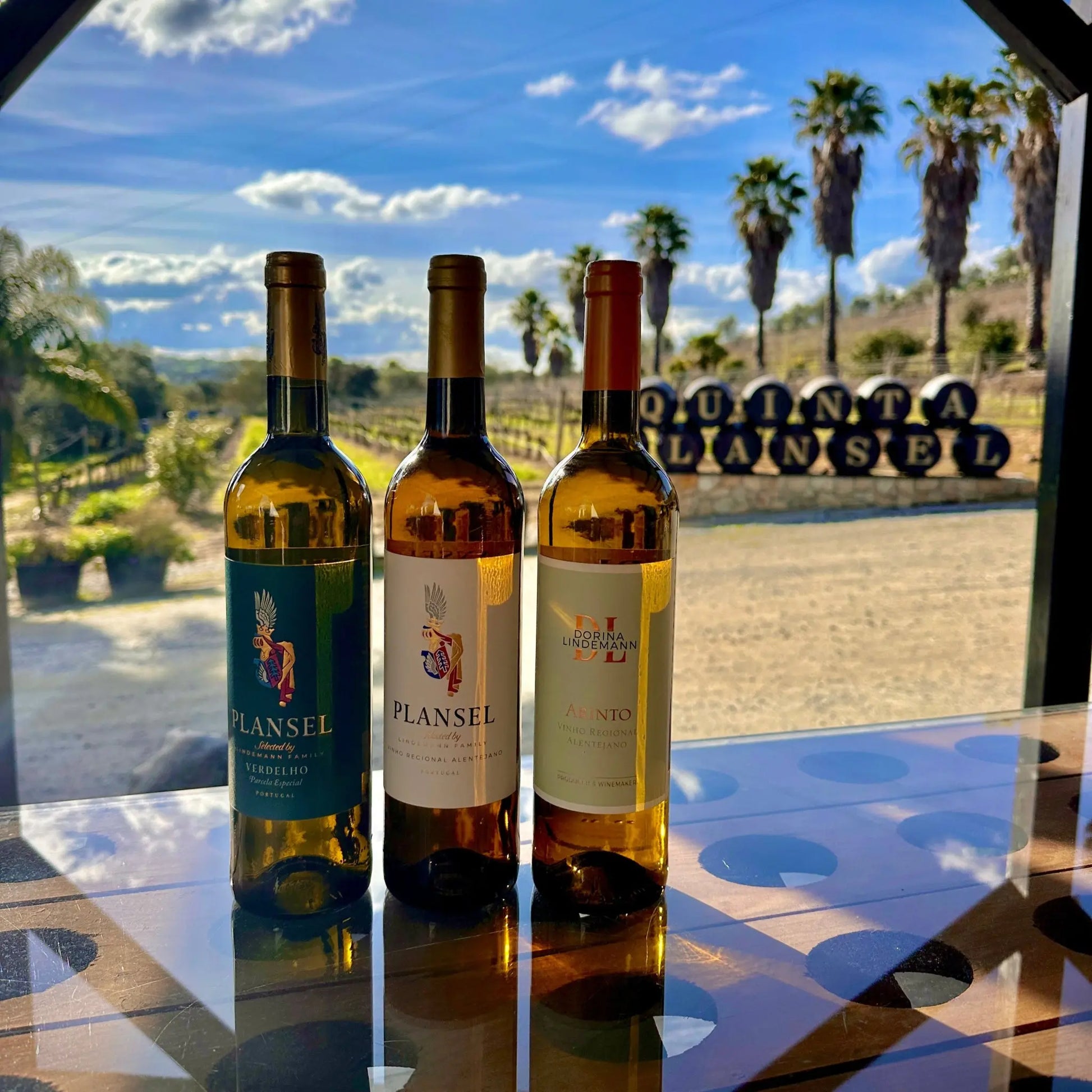 Pack Brancos Plansel - Plansel