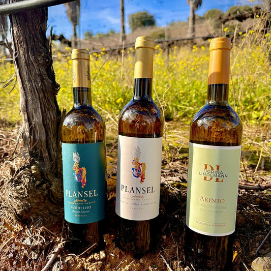 Pack Brancos Plansel - Plansel