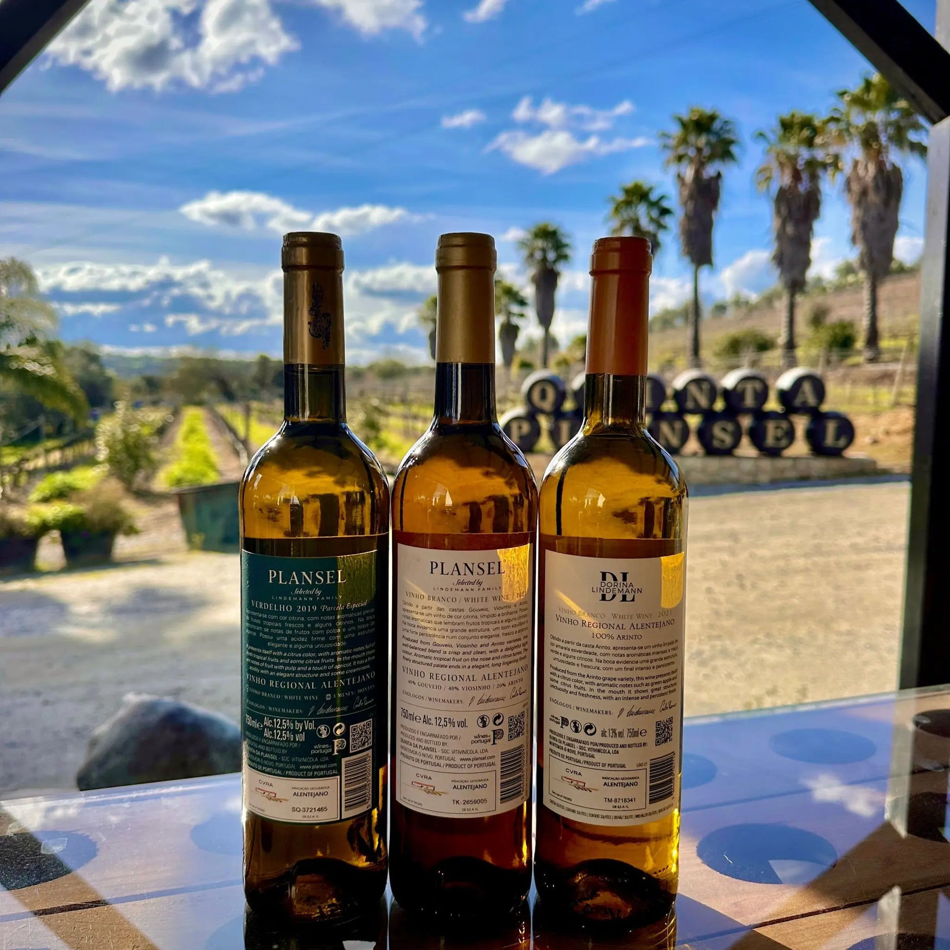 Pack Brancos Plansel - Plansel