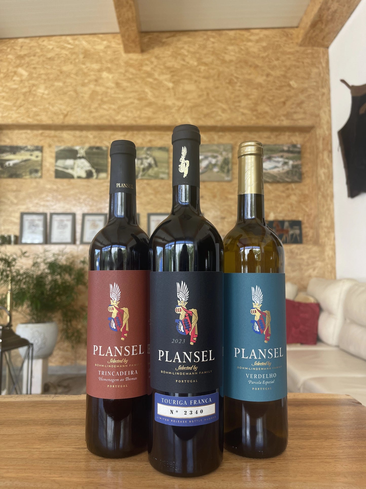 Pack da Raquel - Plansel