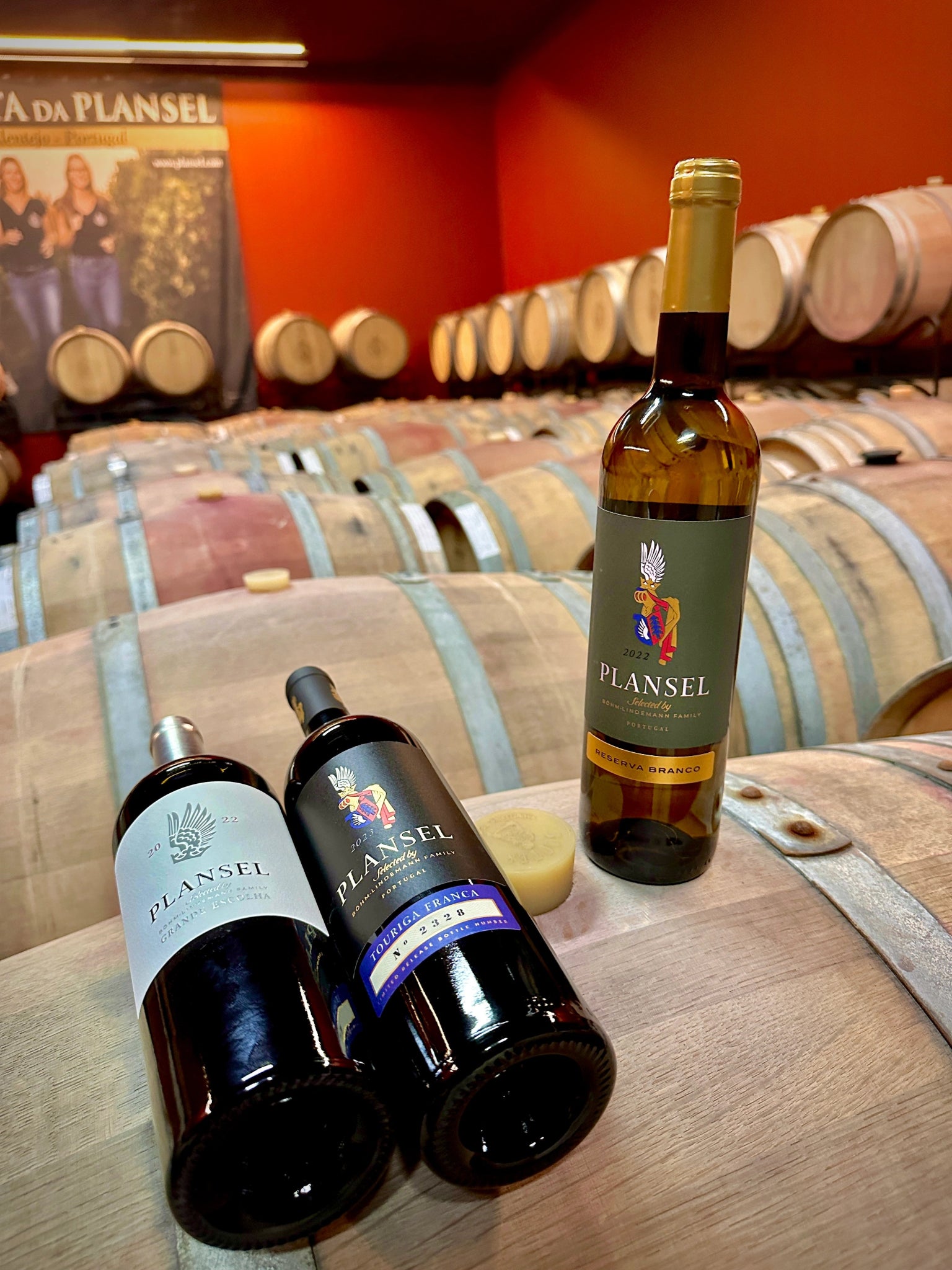 Pack do Carlos - Plansel