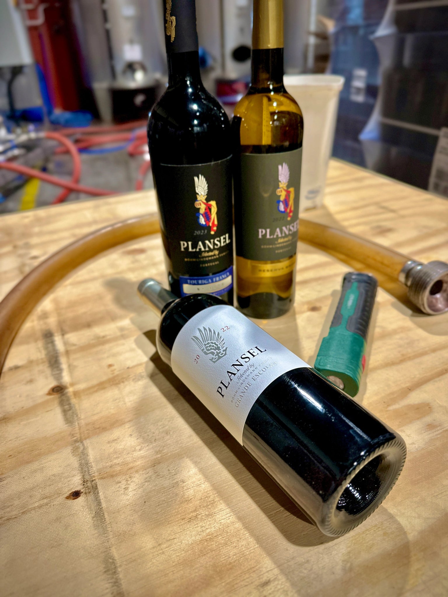 Pack do Carlos - Plansel