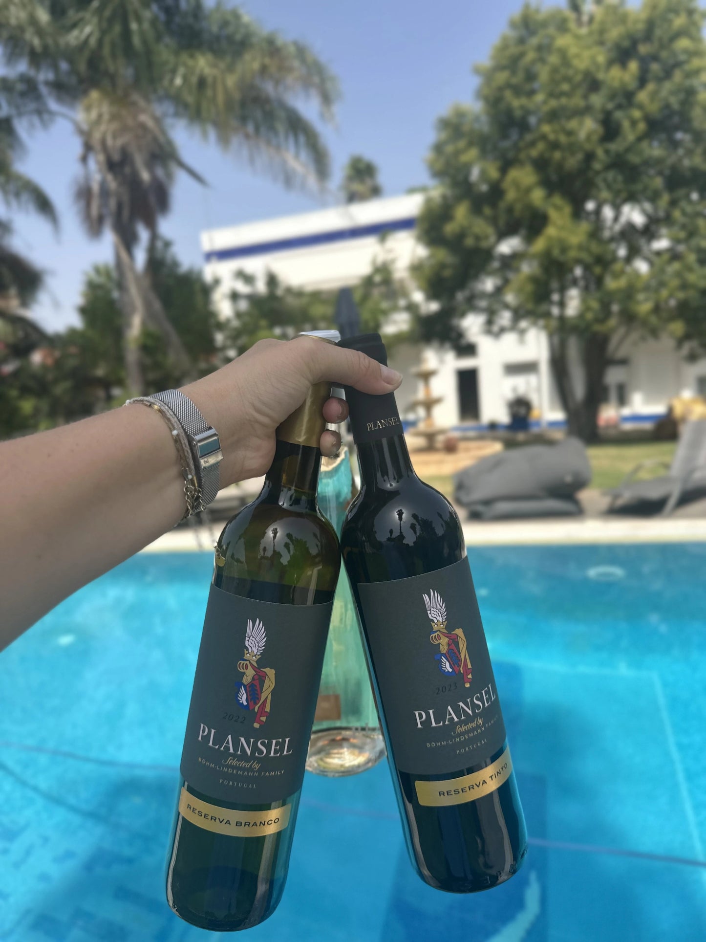 Pack do Hugo - Plansel