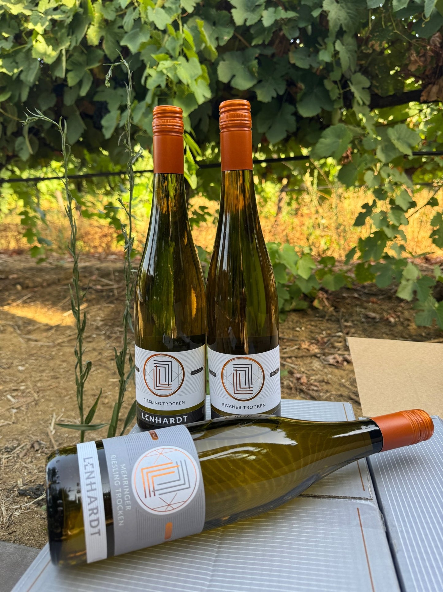 Pack Lenhardt - castas da Alemanha - Plansel