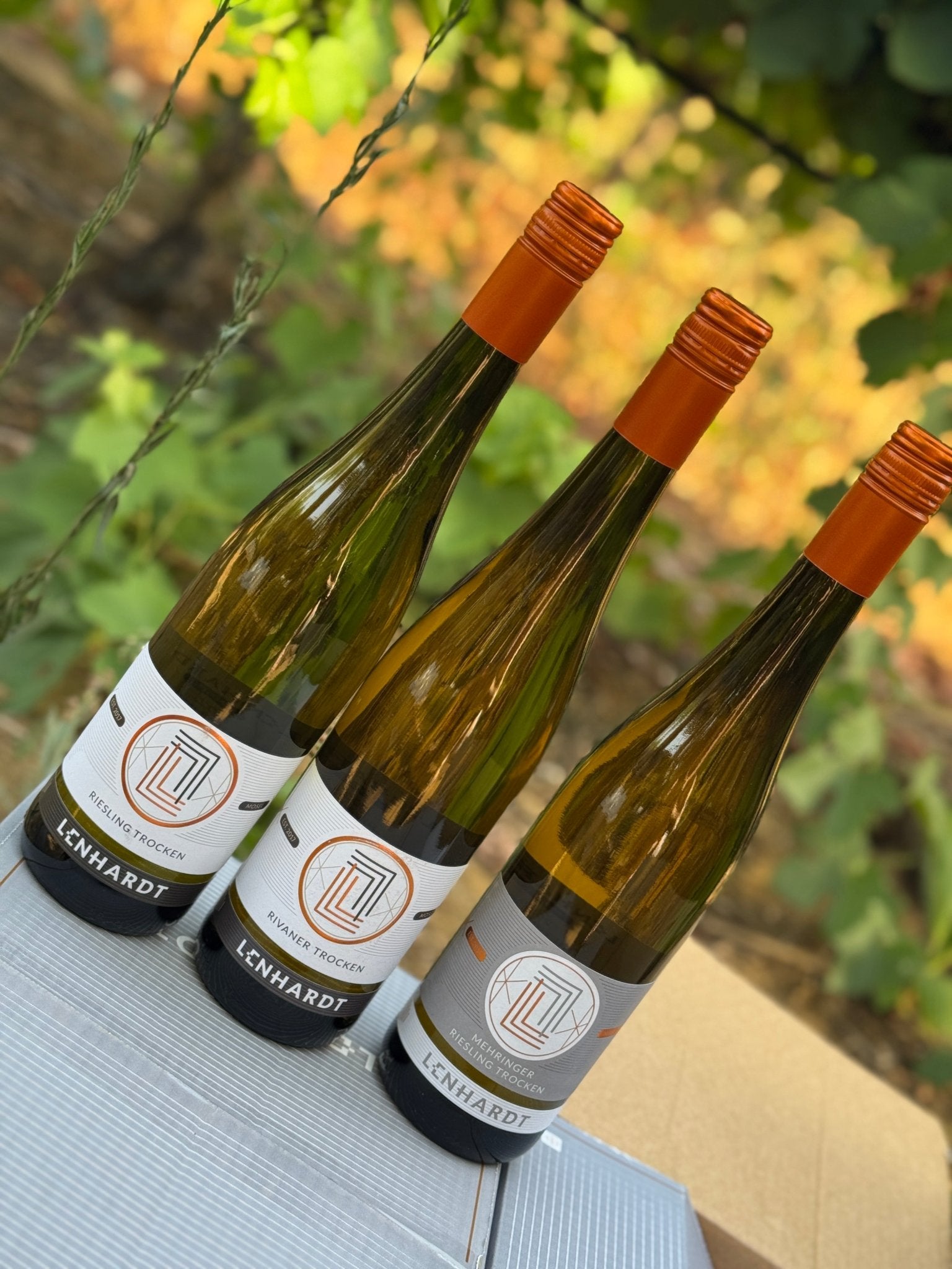 Pack Lenhardt - castas da Alemanha - Plansel