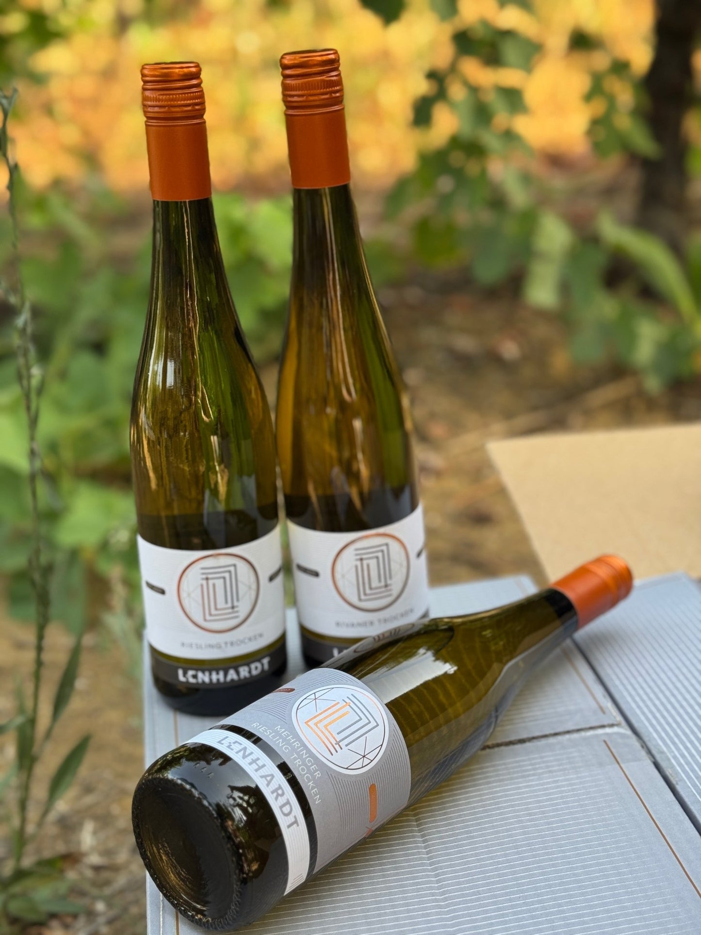 Pack Lenhardt - castas da Alemanha - Plansel