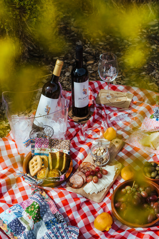 Piquenique com vinho - Plansel