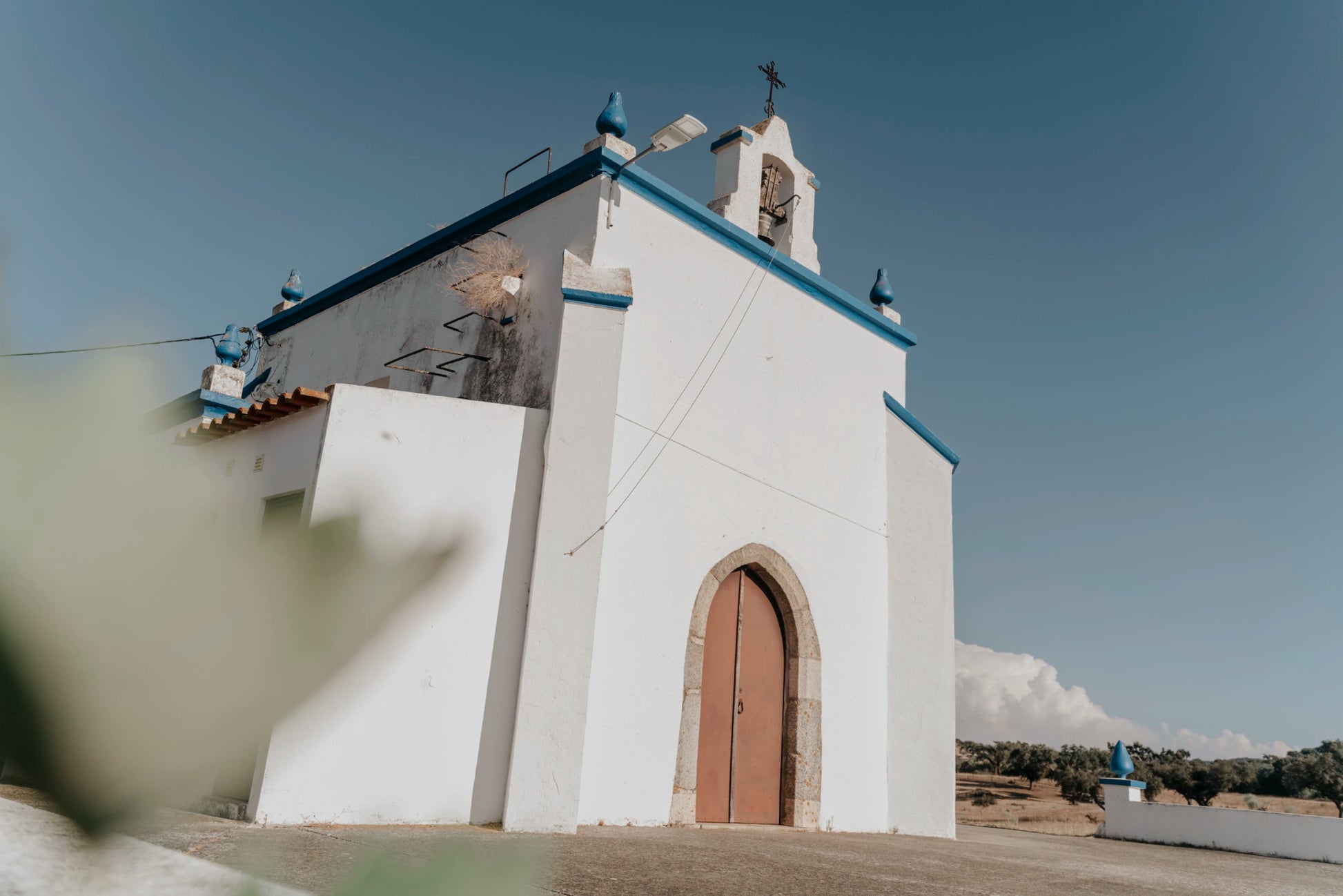 Piquenique com vinho - Plansel