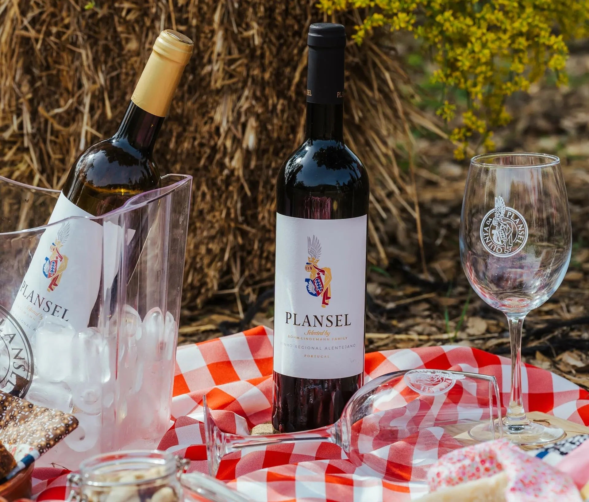 Piquenique com vinho - Plansel