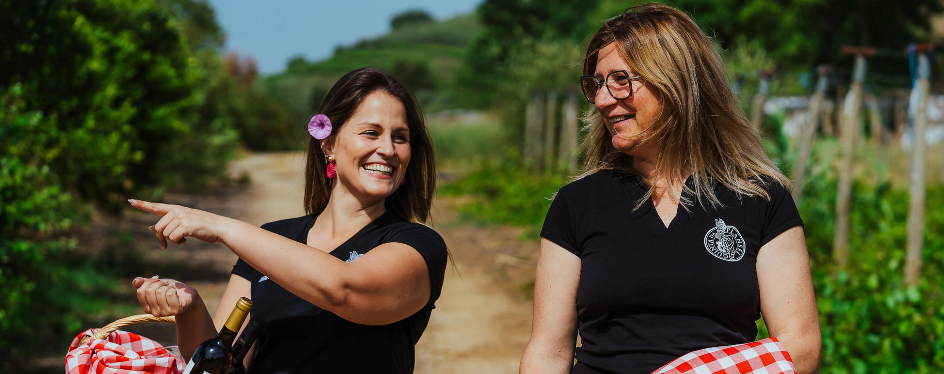 Piquenique com vinho - Plansel