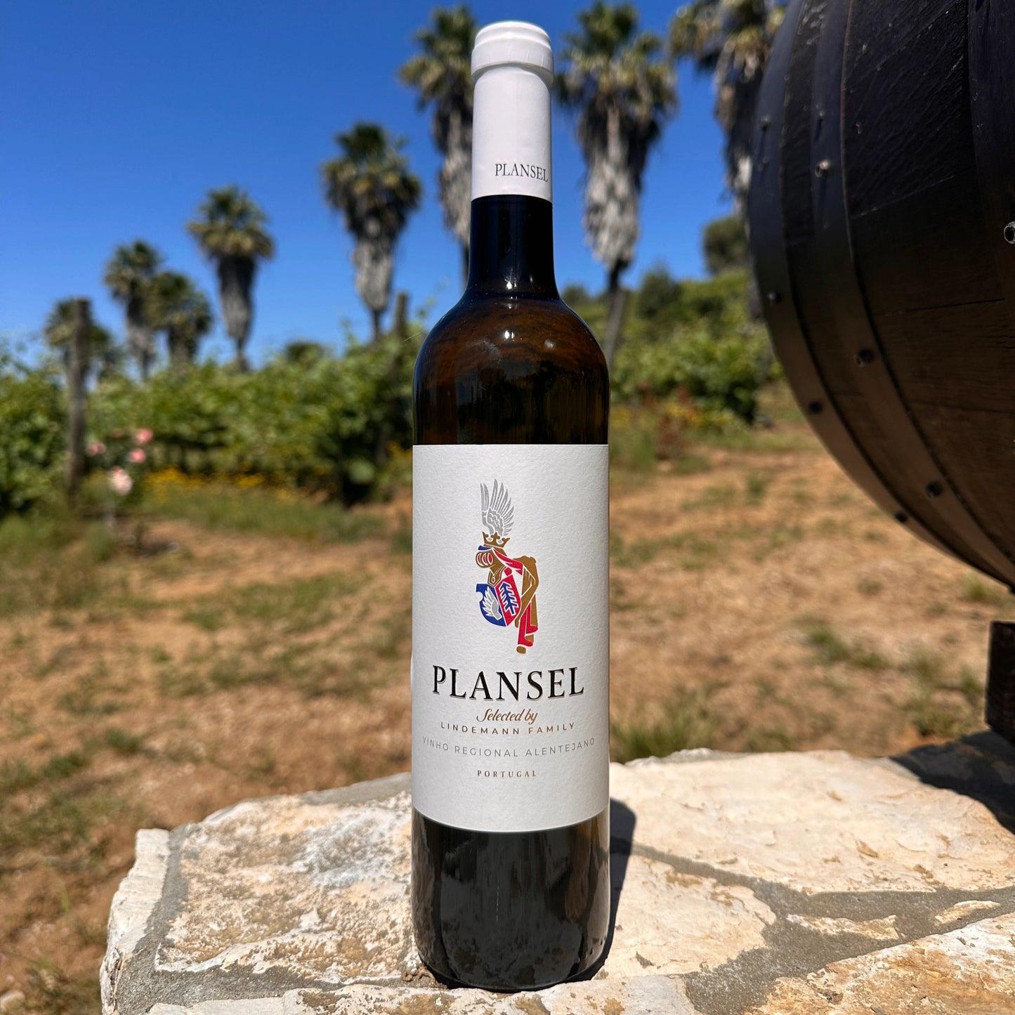 Plansel Branco - Plansel