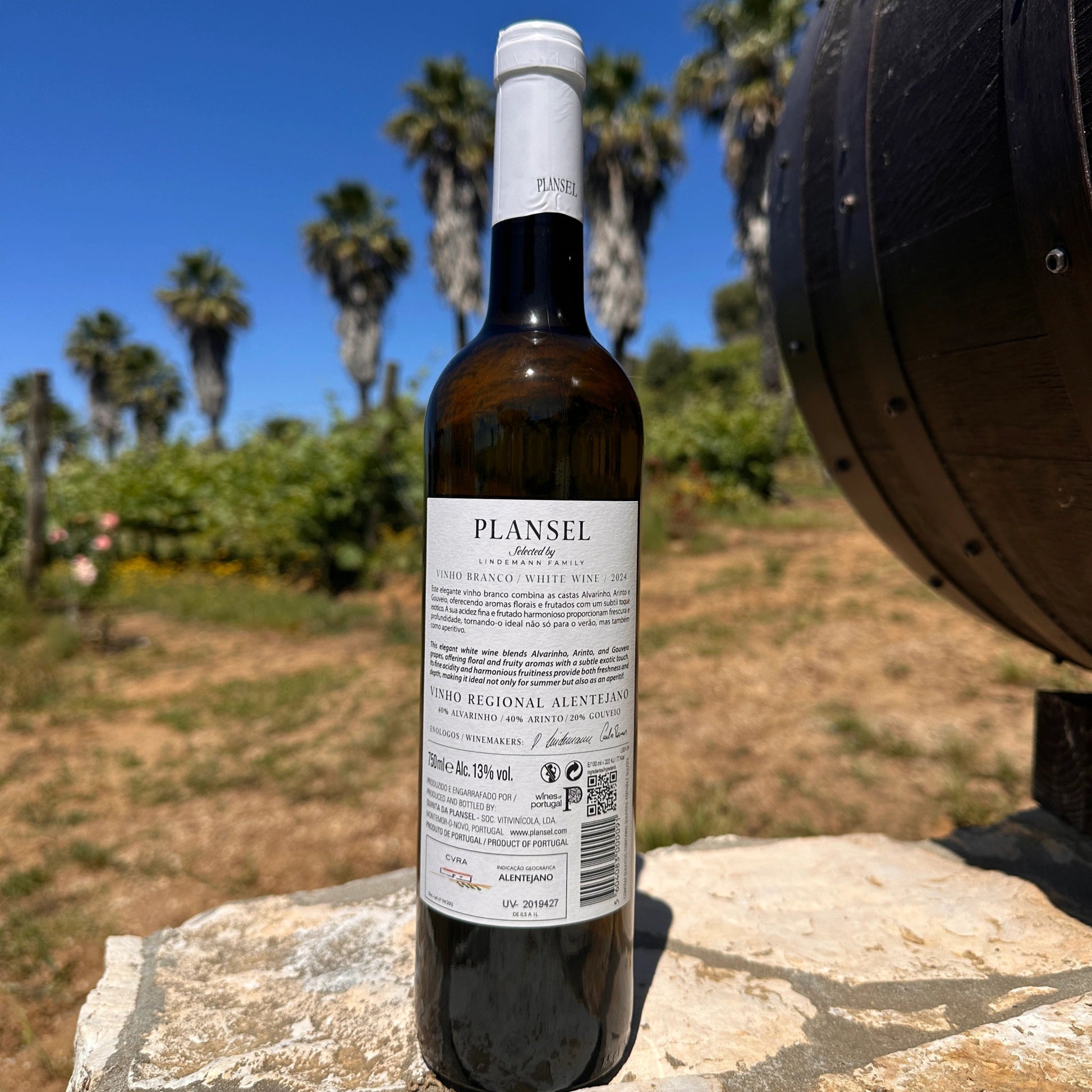 Plansel Branco - Plansel