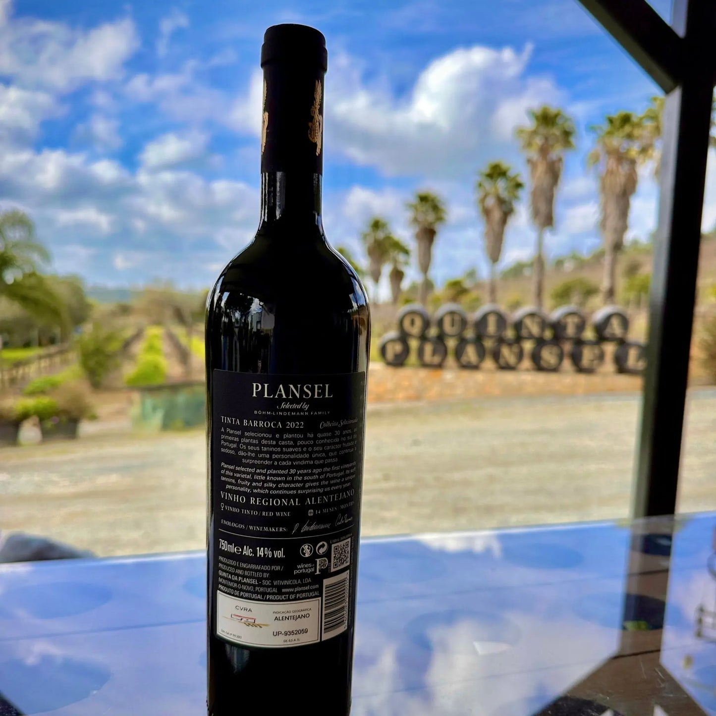 Plansel C. S. Tinta Barroca 2022 - Plansel