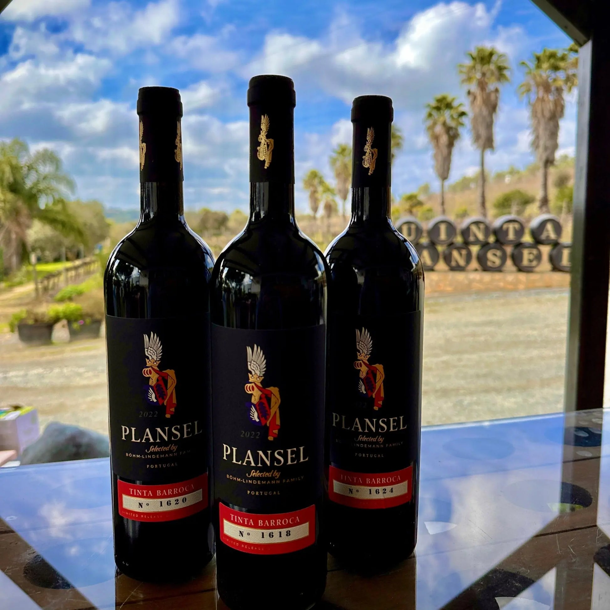 Plansel C. S. Tinta Barroca 2022 - Plansel