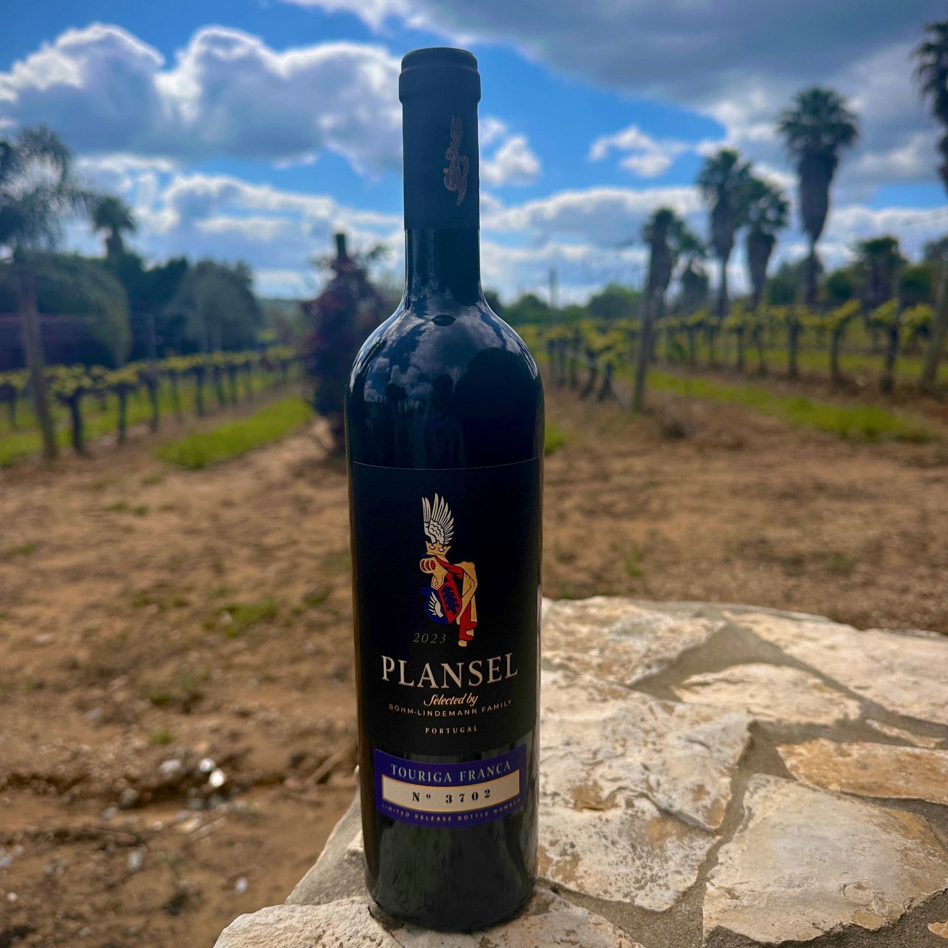 Plansel C. S. Toruriga Franca 2023 - Plansel