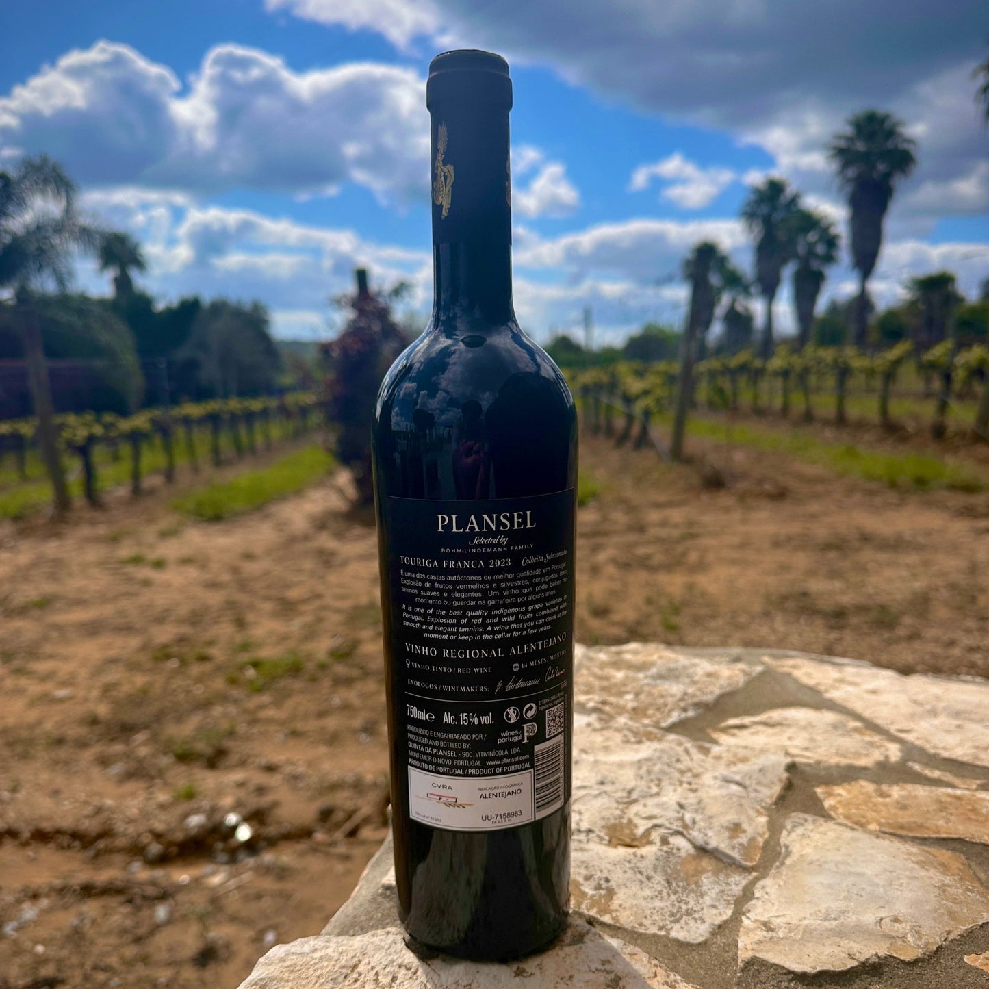 Plansel C. S. Toruriga Franca 2023 - Plansel