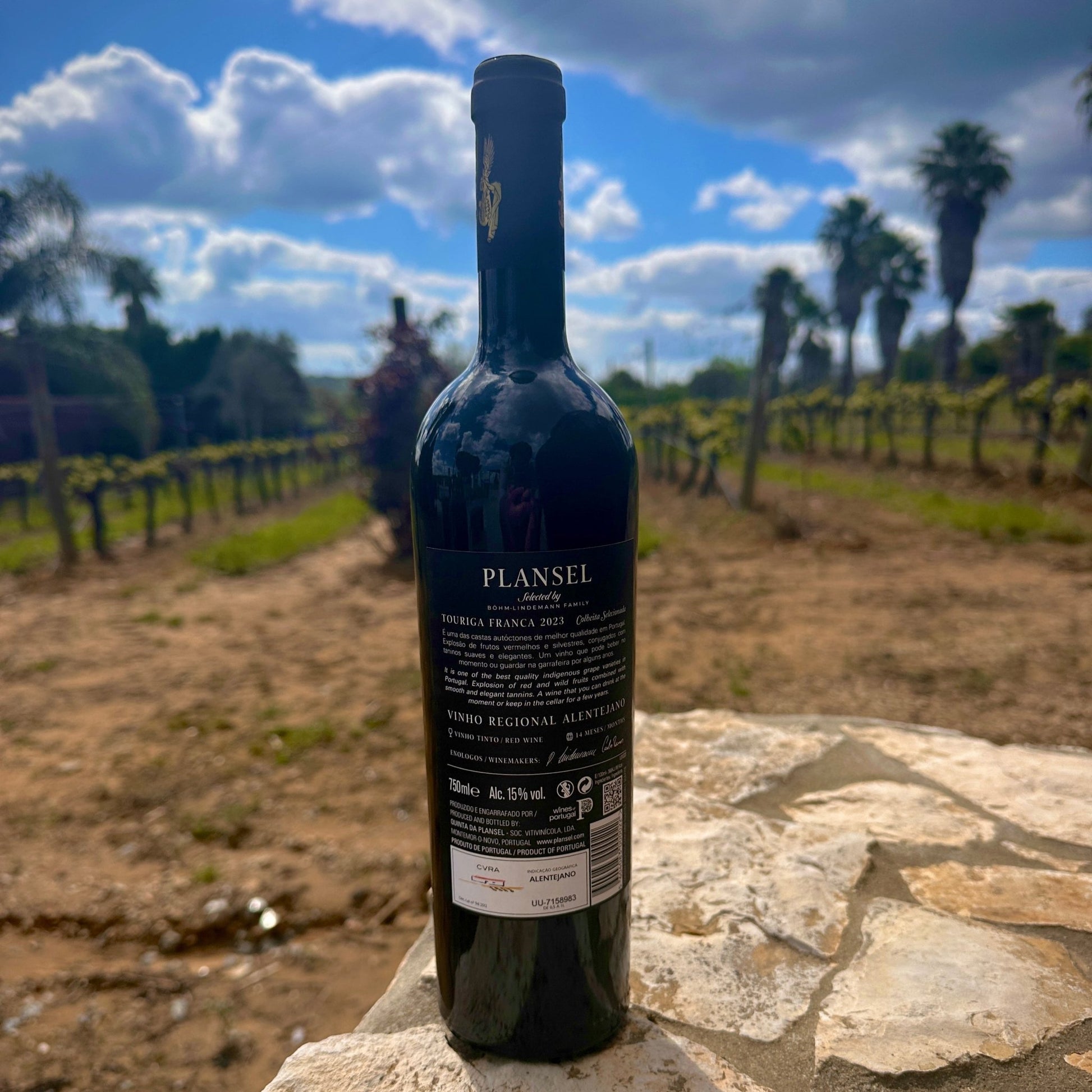 Plansel C. S. Toruriga Franca 2023 - Plansel