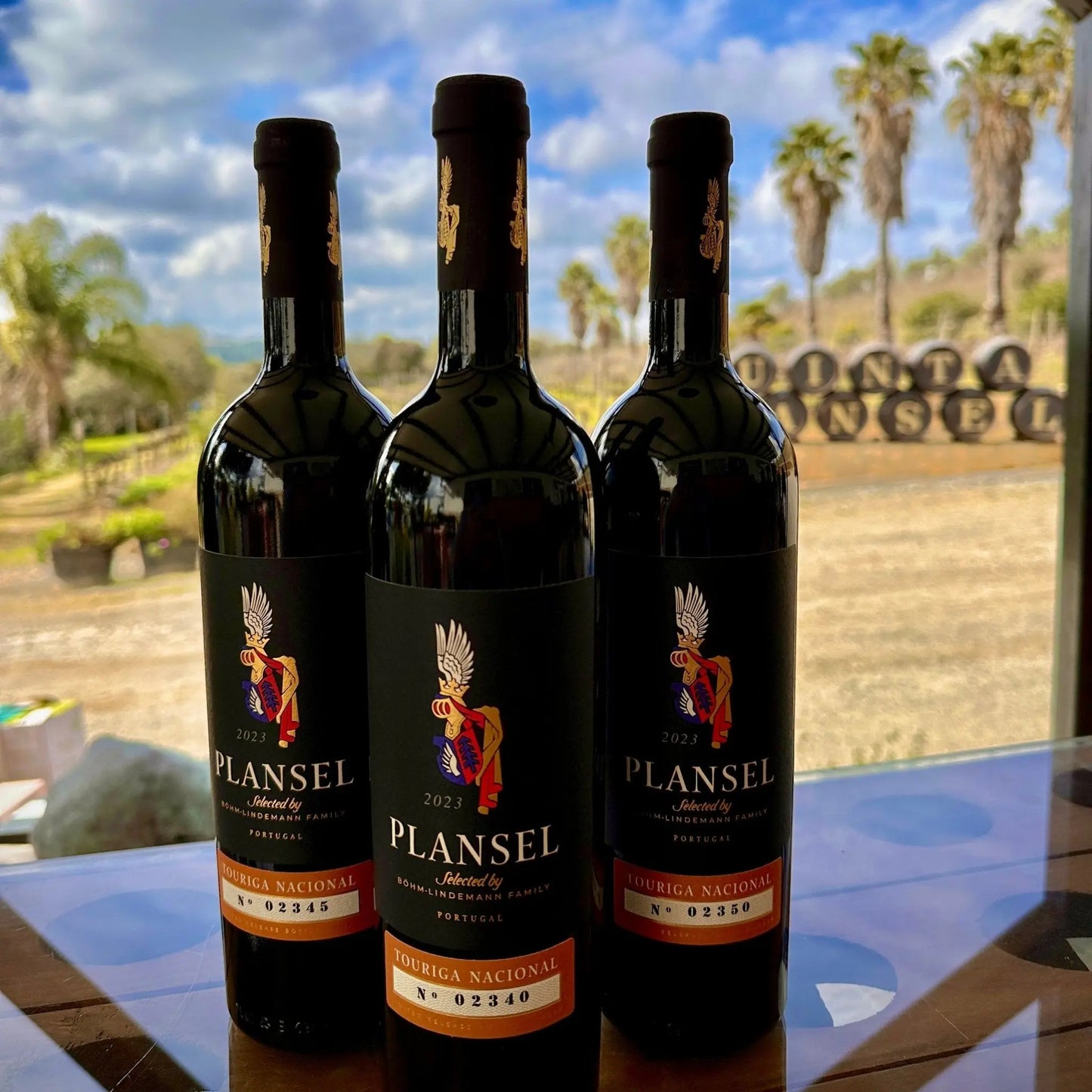 Plansel C. S. Toruriga Nacional 2022 - Plansel