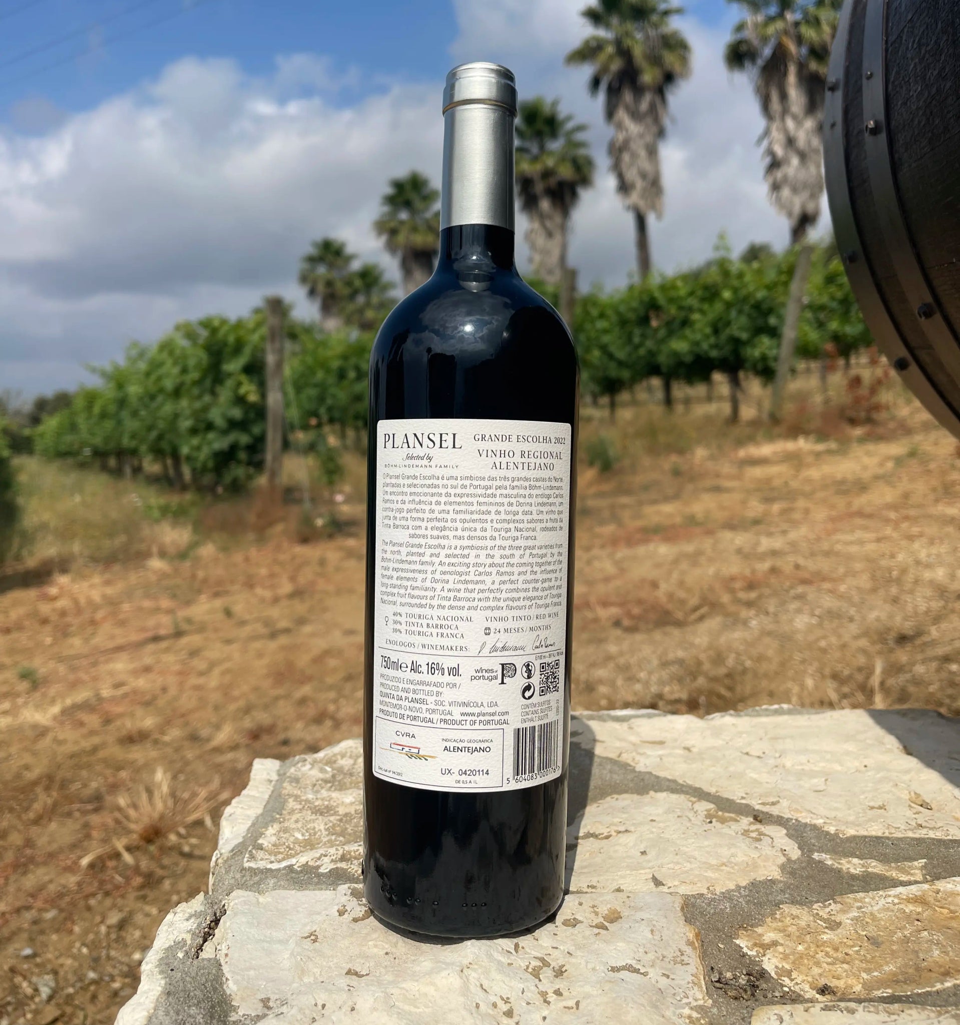 Plansel Grande Escolha 2022 - Plansel