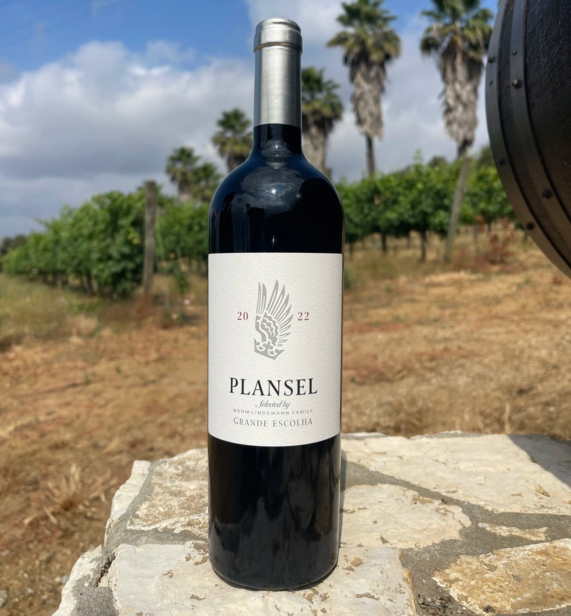 Plansel Grande Escolha 2022 - Plansel