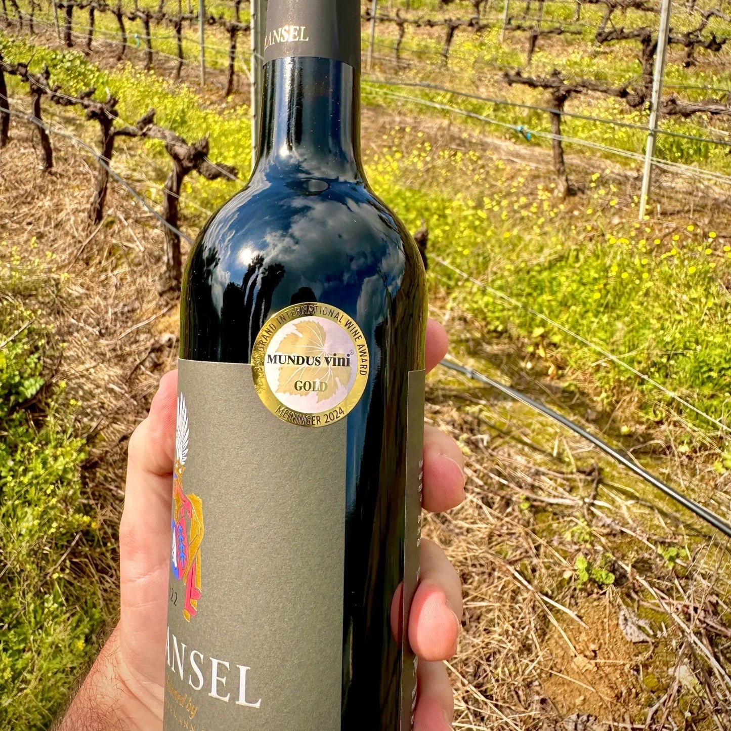 Plansel Reserva Tinto 2022 - Plansel