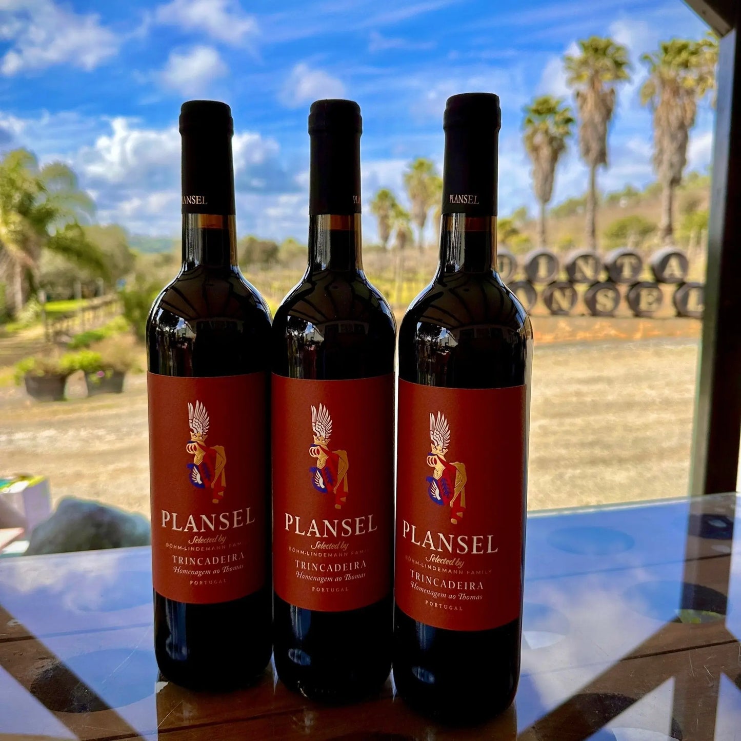 Plansel Trincadeira 2023 - Plansel